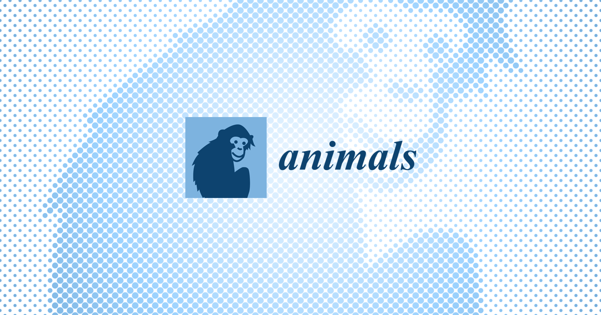 Animals 2024 Browse Issues   Animals Logo Social 