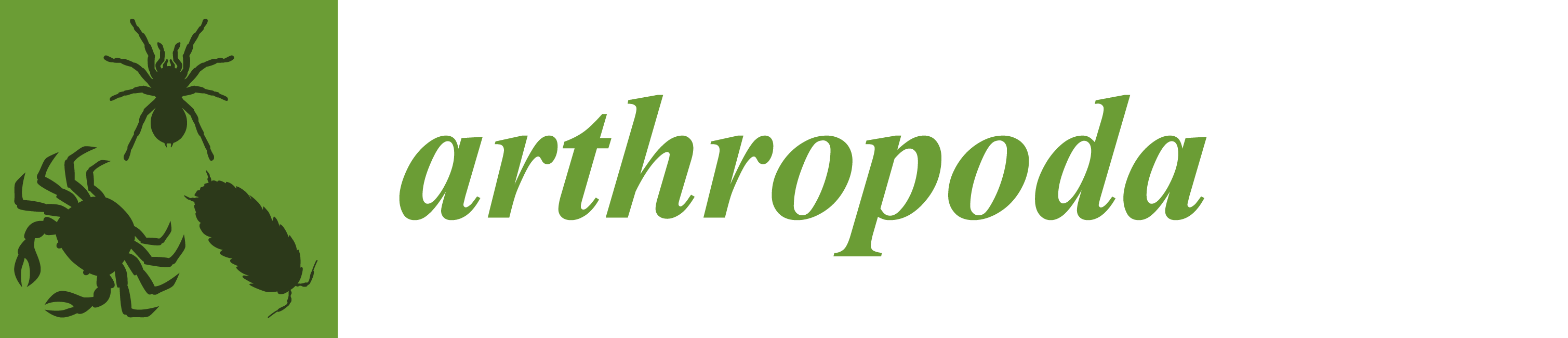 Arthropoda