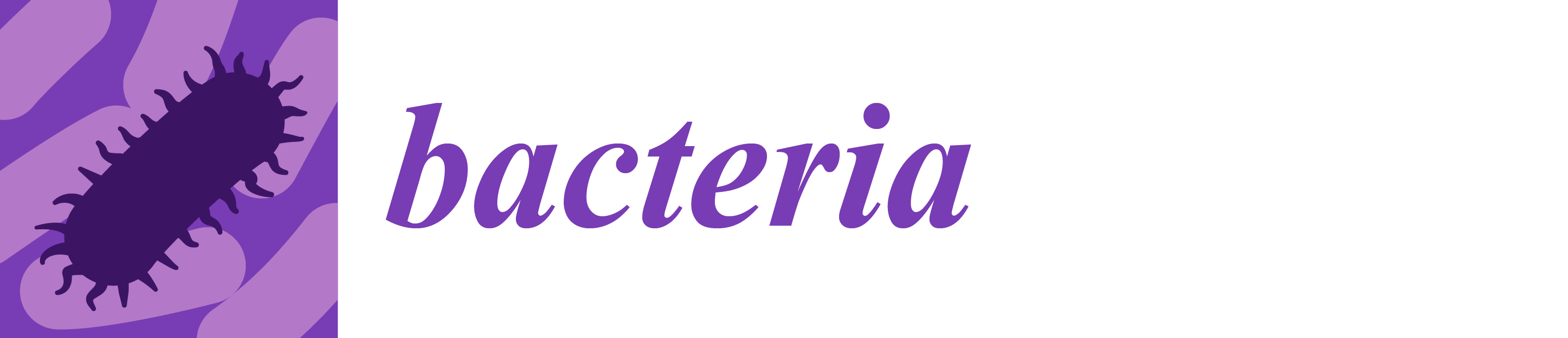 Bacteria