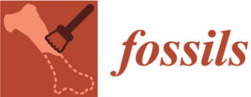 fossils-logo