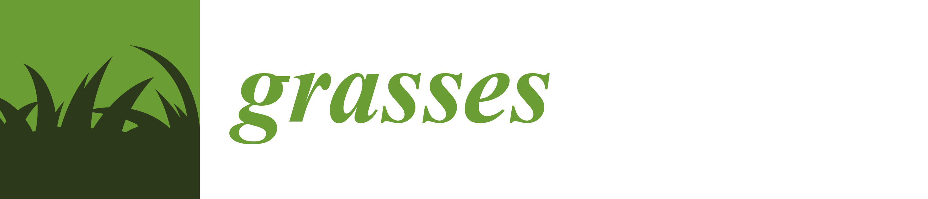 Grasses