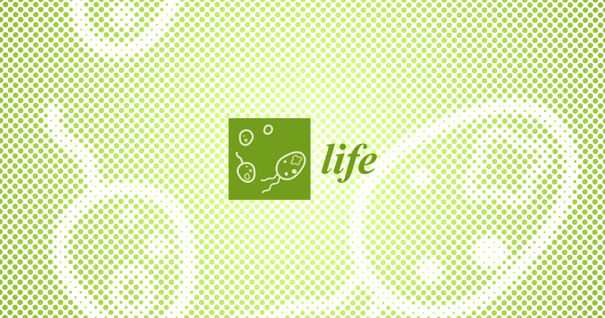 Big Life Journal 2nd Edition - Big Life Journal (2/2)