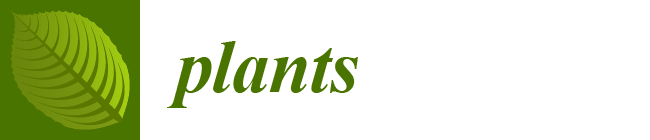 plants-logo