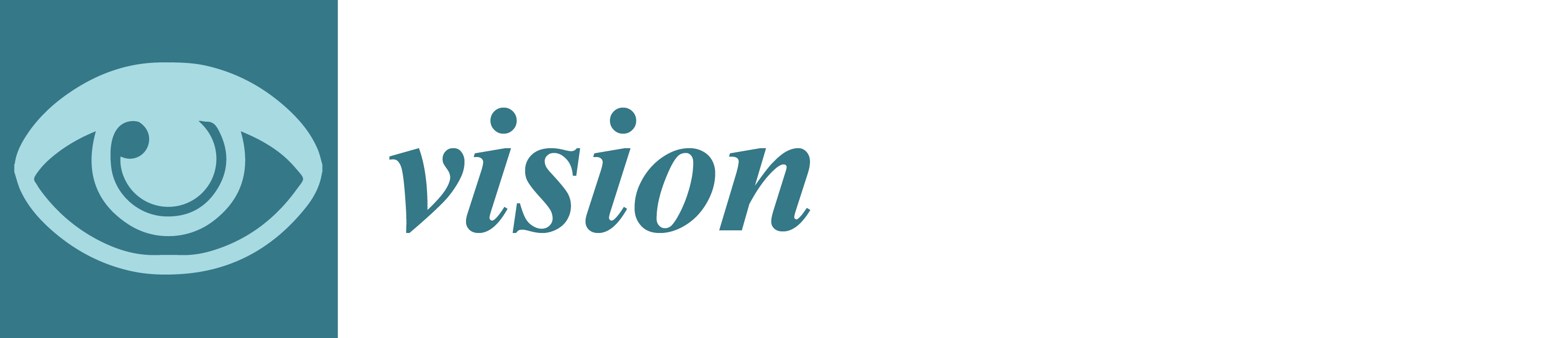 Vision