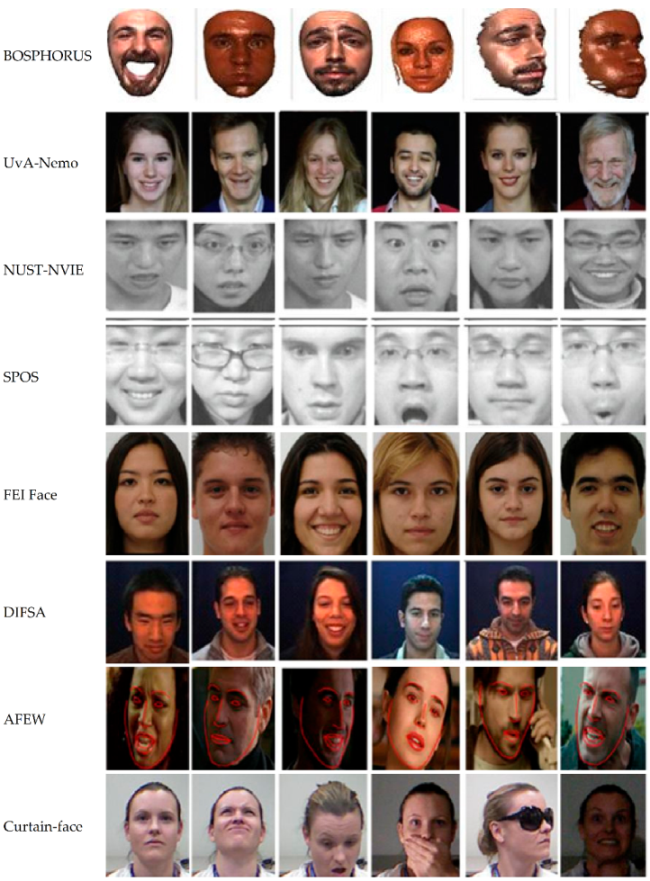 Information Free Full Text Facial Emotion Recognition Using