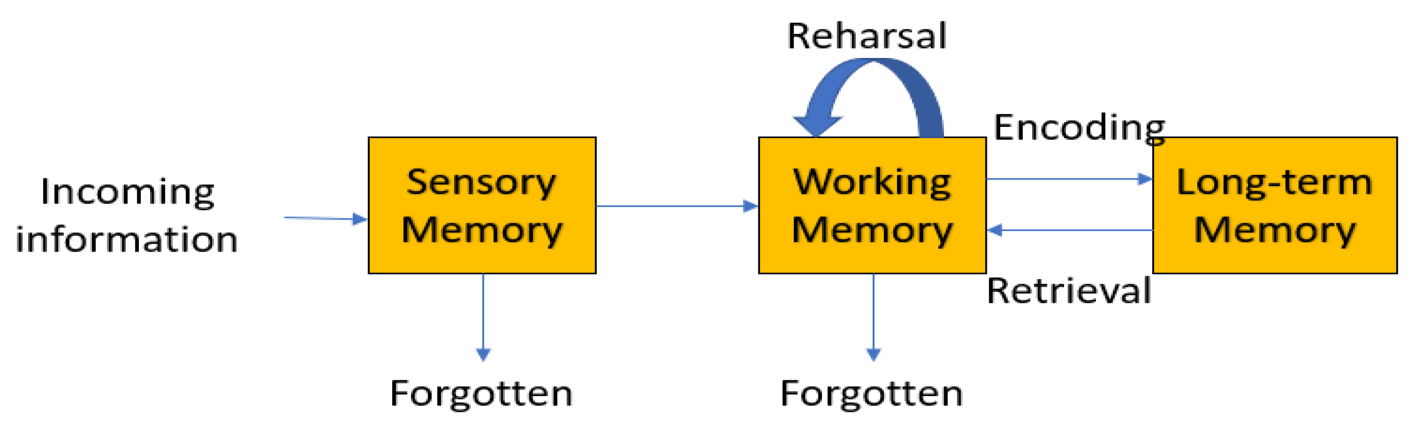 Information | Free Full-Text | A Deep Neural Network for Working Memory ...