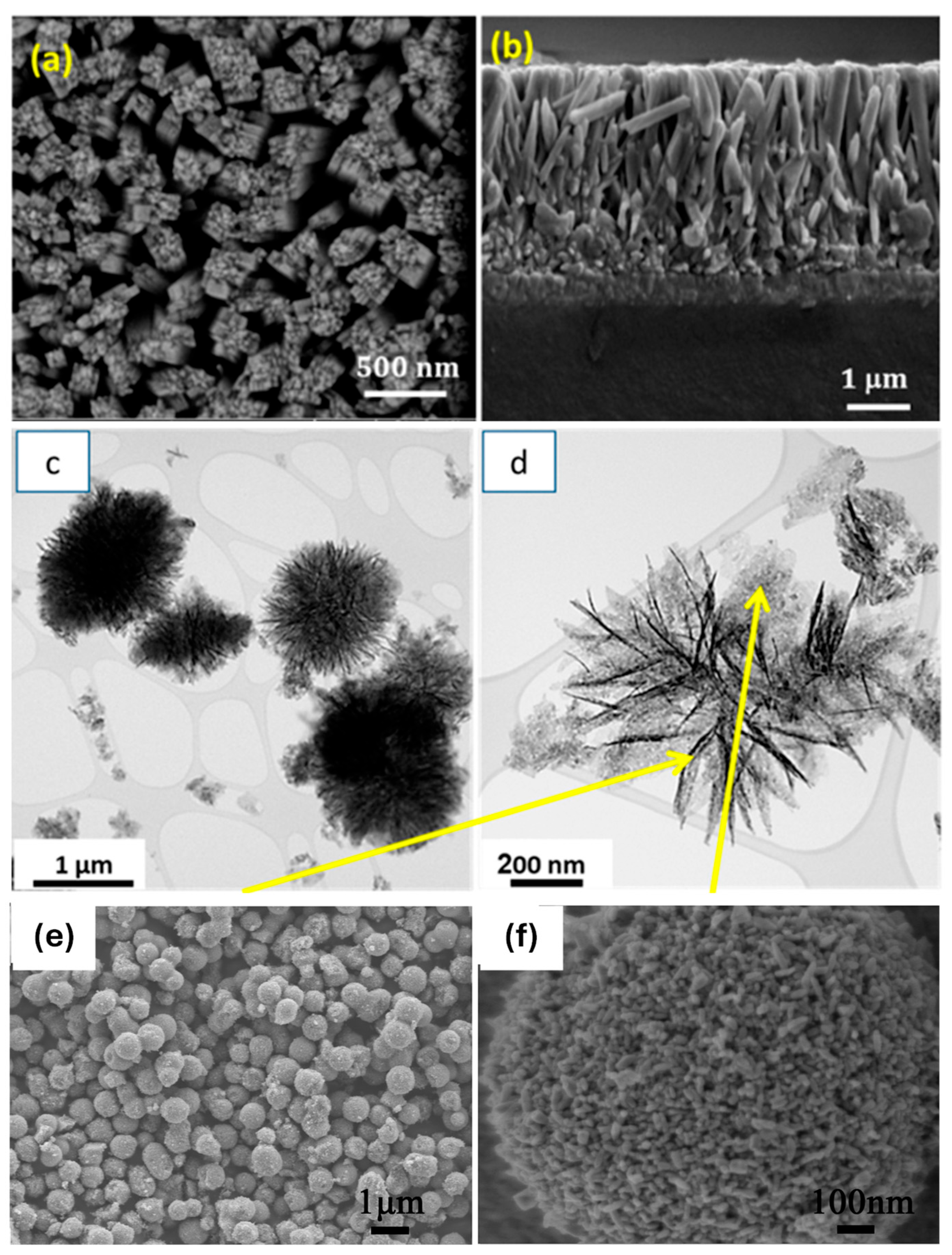 Metal Decorated–ZnO and TiO2 Nanocomposites for Degradation of Organic ...
