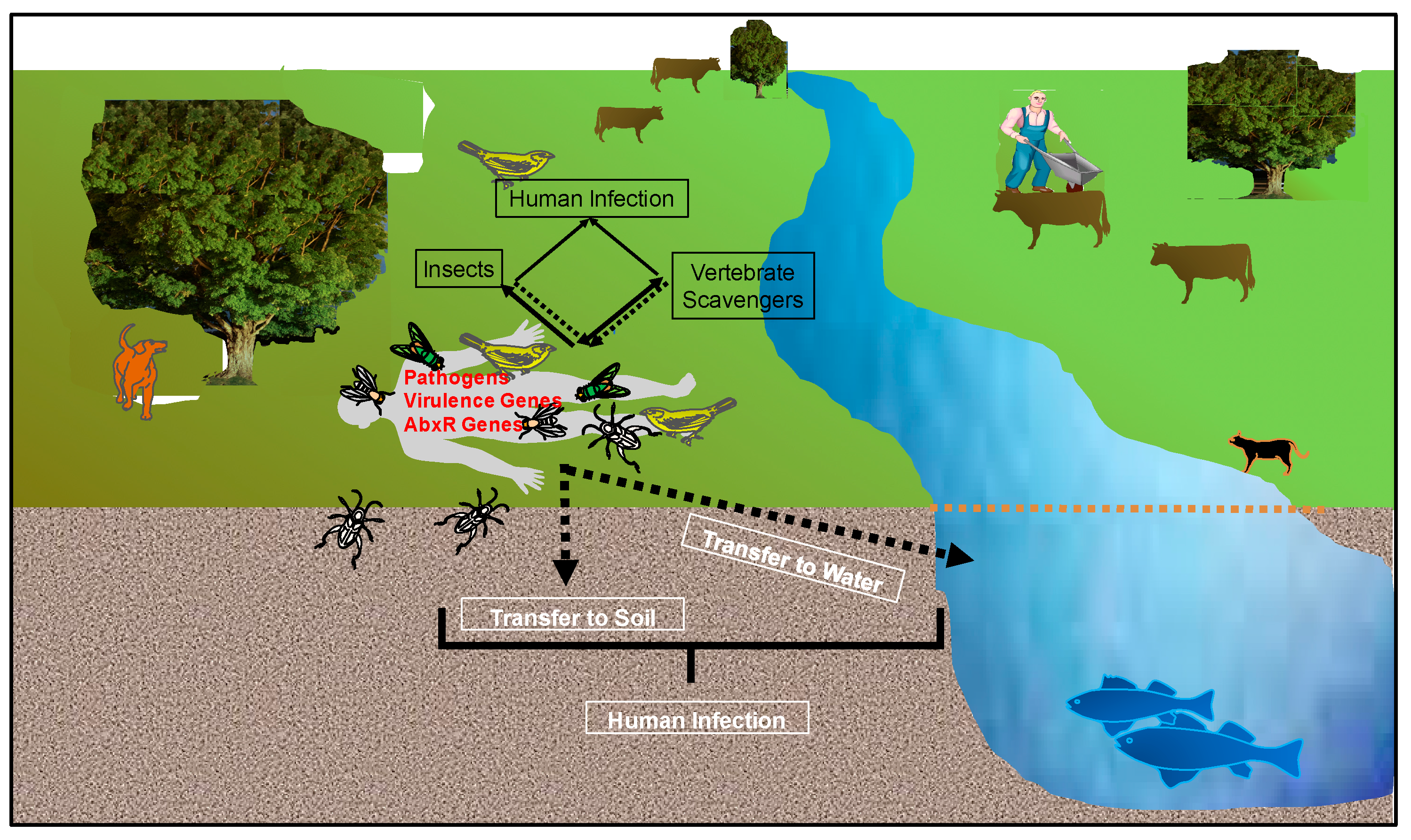 freshwater ecosystem abiotic factors