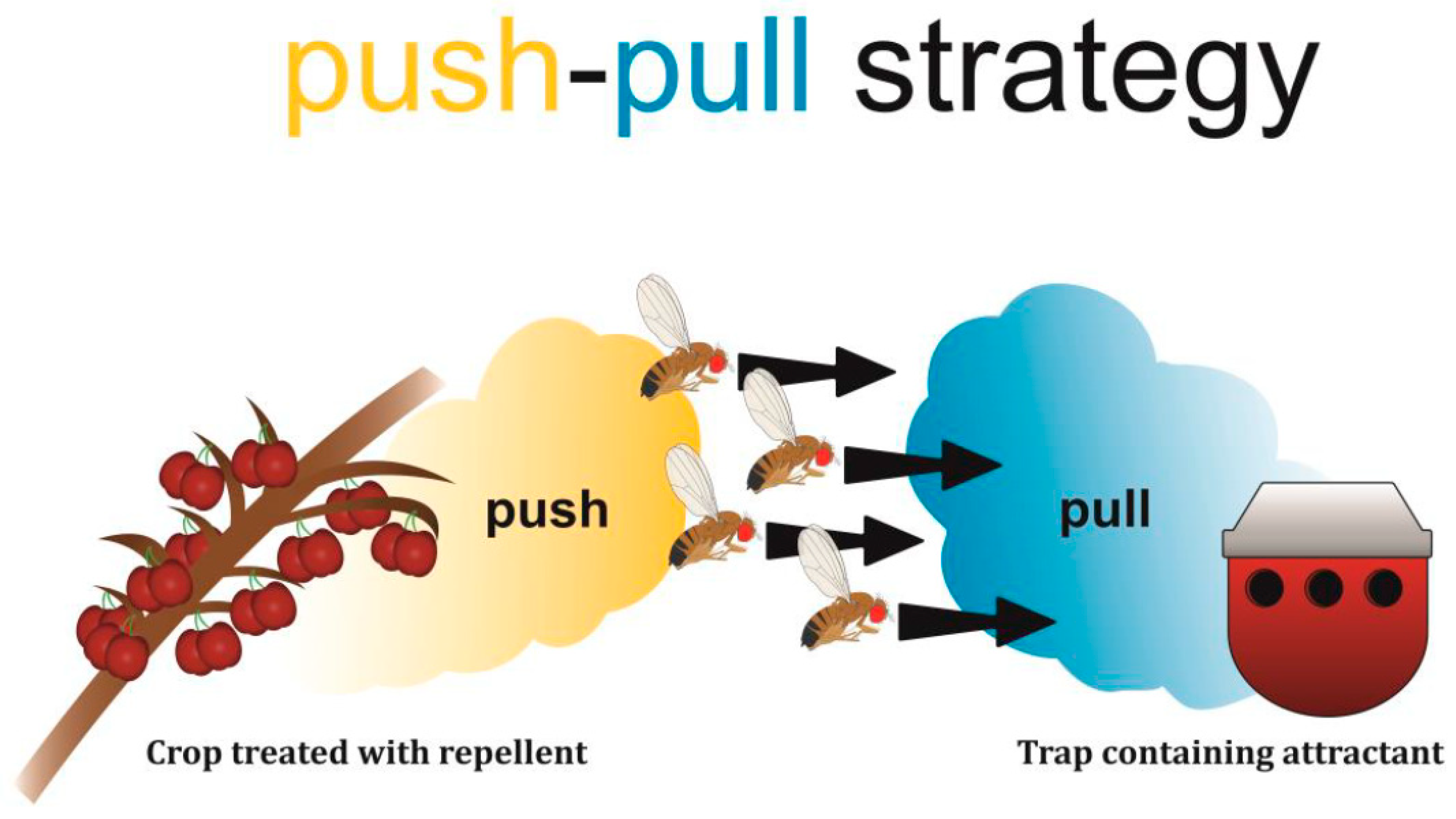 Push Pull Z Trap