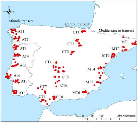 Wing Geometric Morphometrics of Workers and Drones and Single ...