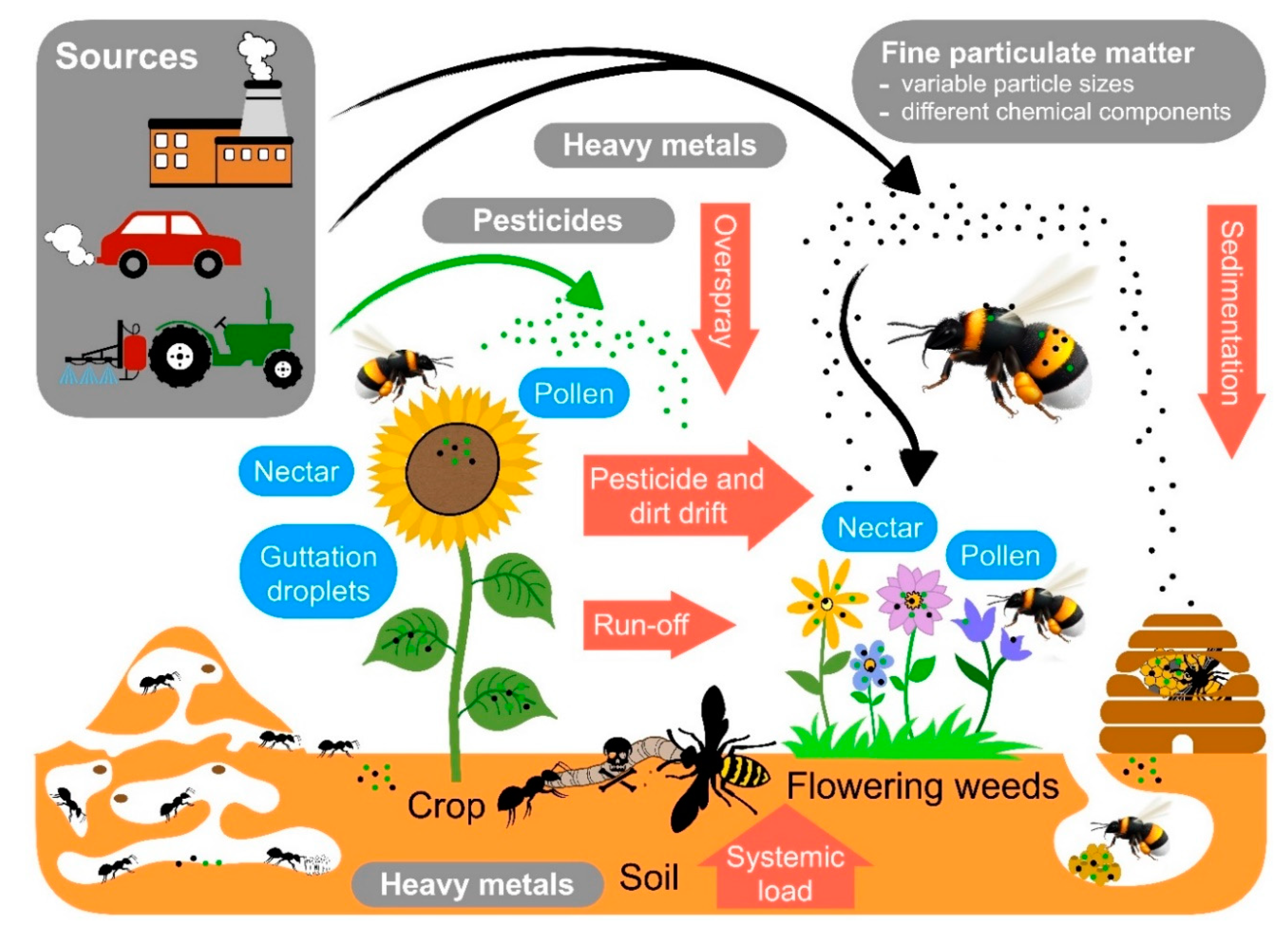 Insects | Free Full-Text | Pollutants and Their Interaction with Diseases  of Social Hymenoptera