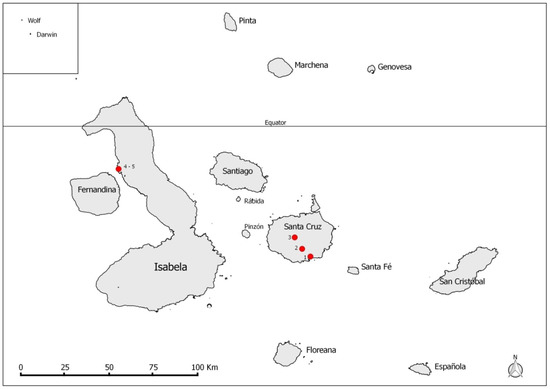 Insects | Free Full-Text | Trypanosomatids Detected in the Invasive ...