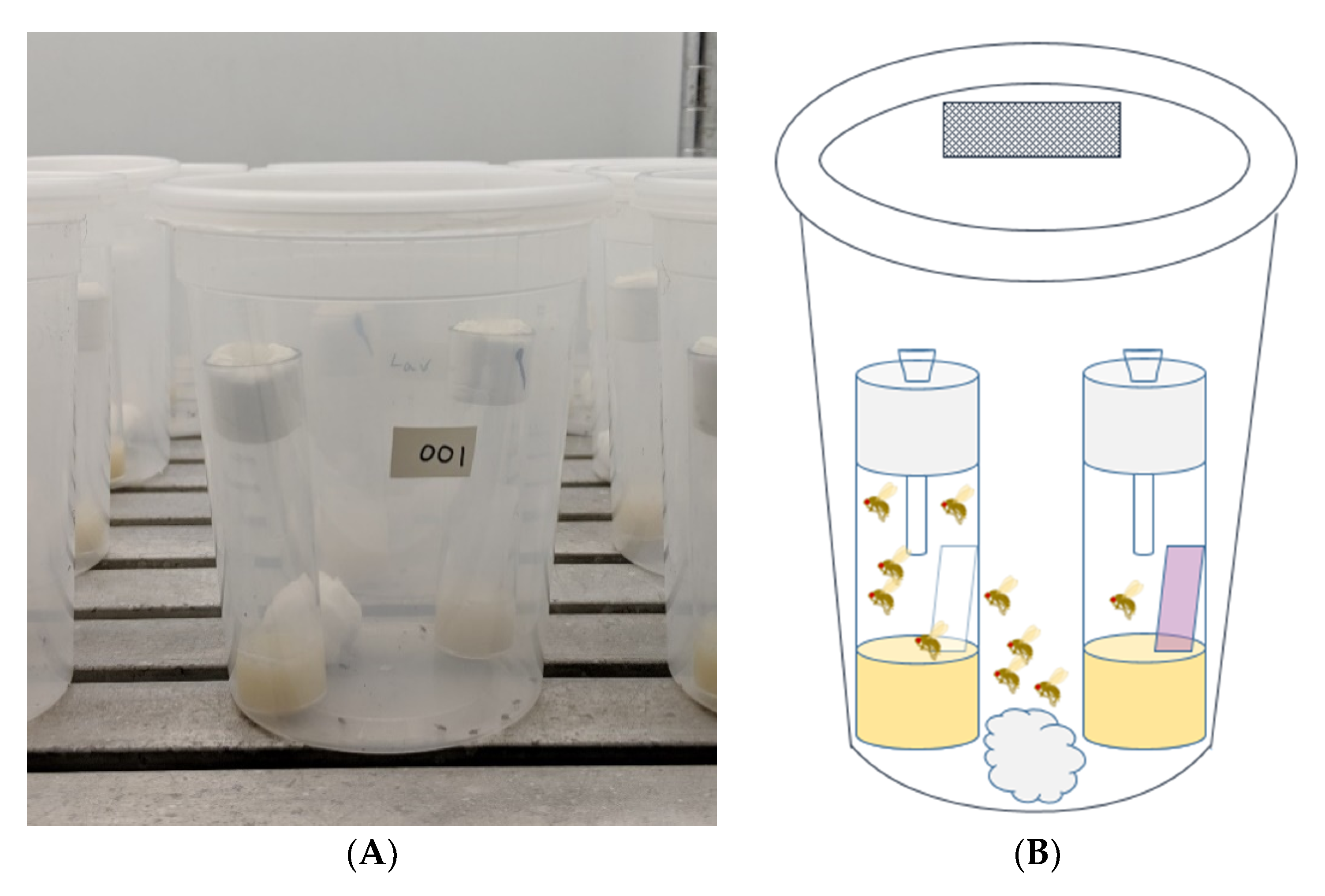 https://pub.mdpi-res.com/insects/insects-11-00536/article_deploy/html/images/insects-11-00536-g001.png?1598583369