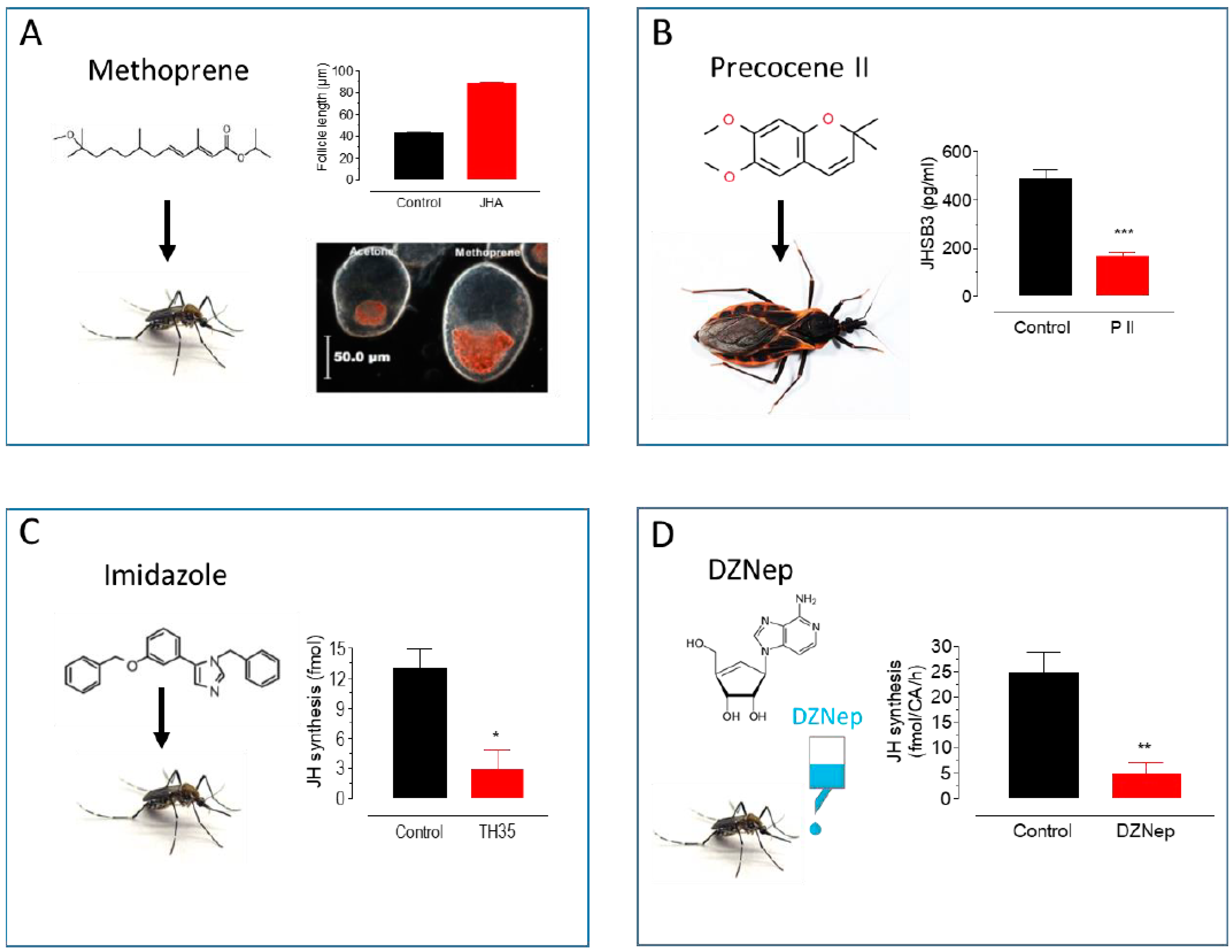 Insects | Free Full-Text | Approaches and Tools to Study the Roles of  Juvenile Hormones in Controlling Insect Biology
