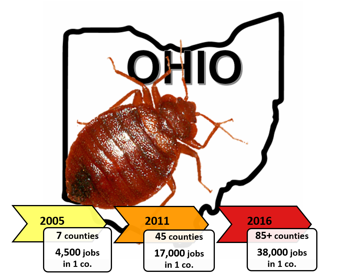 Bed bugs: Do-it-yourself control options - Insects in the City