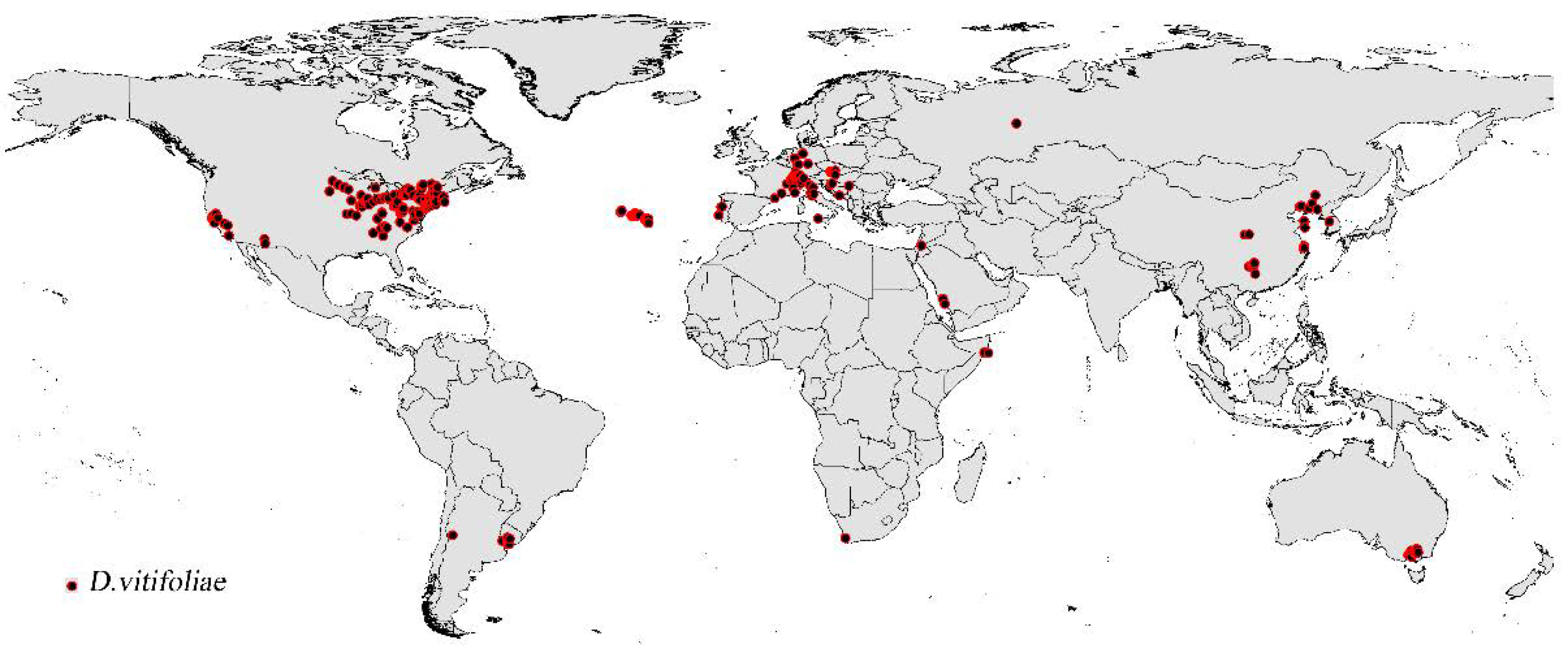 Insects | Free Full-Text | Potential Global Distribution of ...