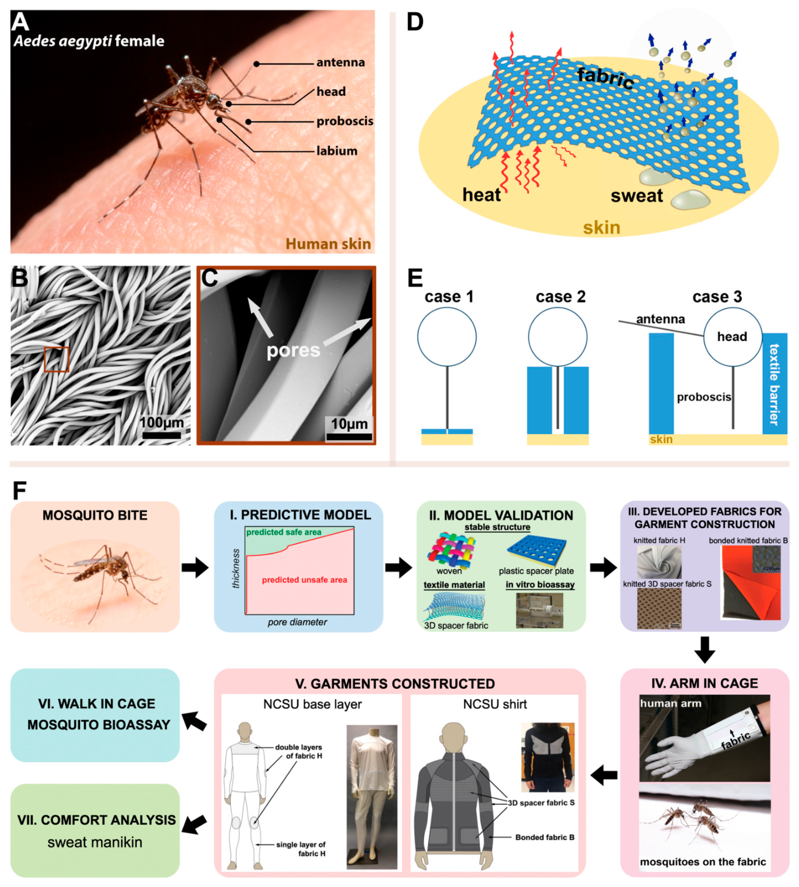 Insects Free Full-Text Mosquito-Textile Physics A Mathematical Roadmap to Insecticide-Free, Bite-Proof Clothing for Everyday Life
