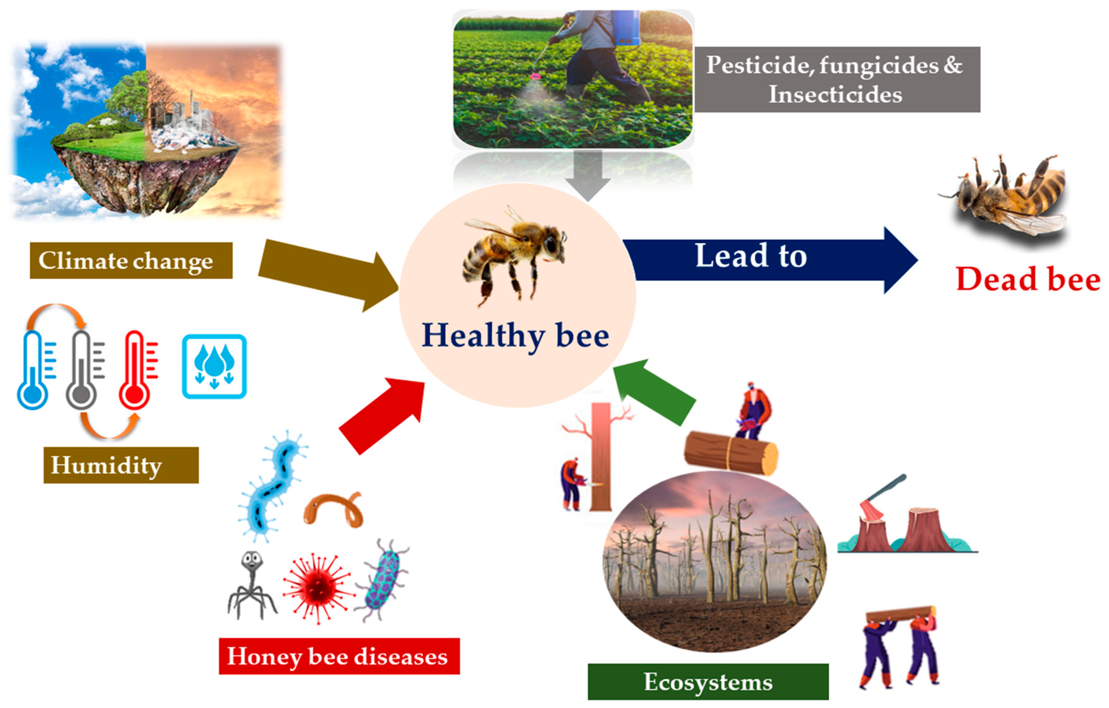 V. Conservation Strategies for Insect Pollinators