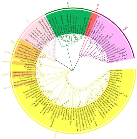 Insects | Free Full-Text | Genome-Wide Identification and Analysis of ...