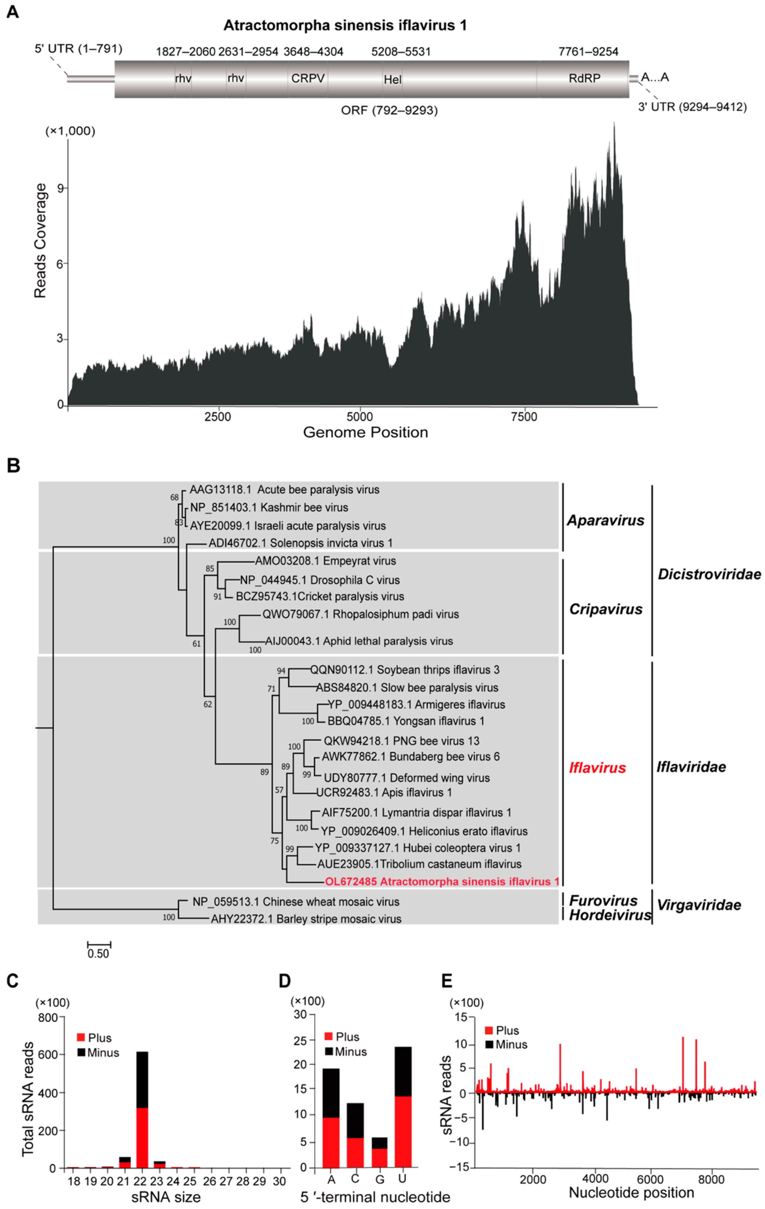 Integrative assessment of the transcriptome and virome of the