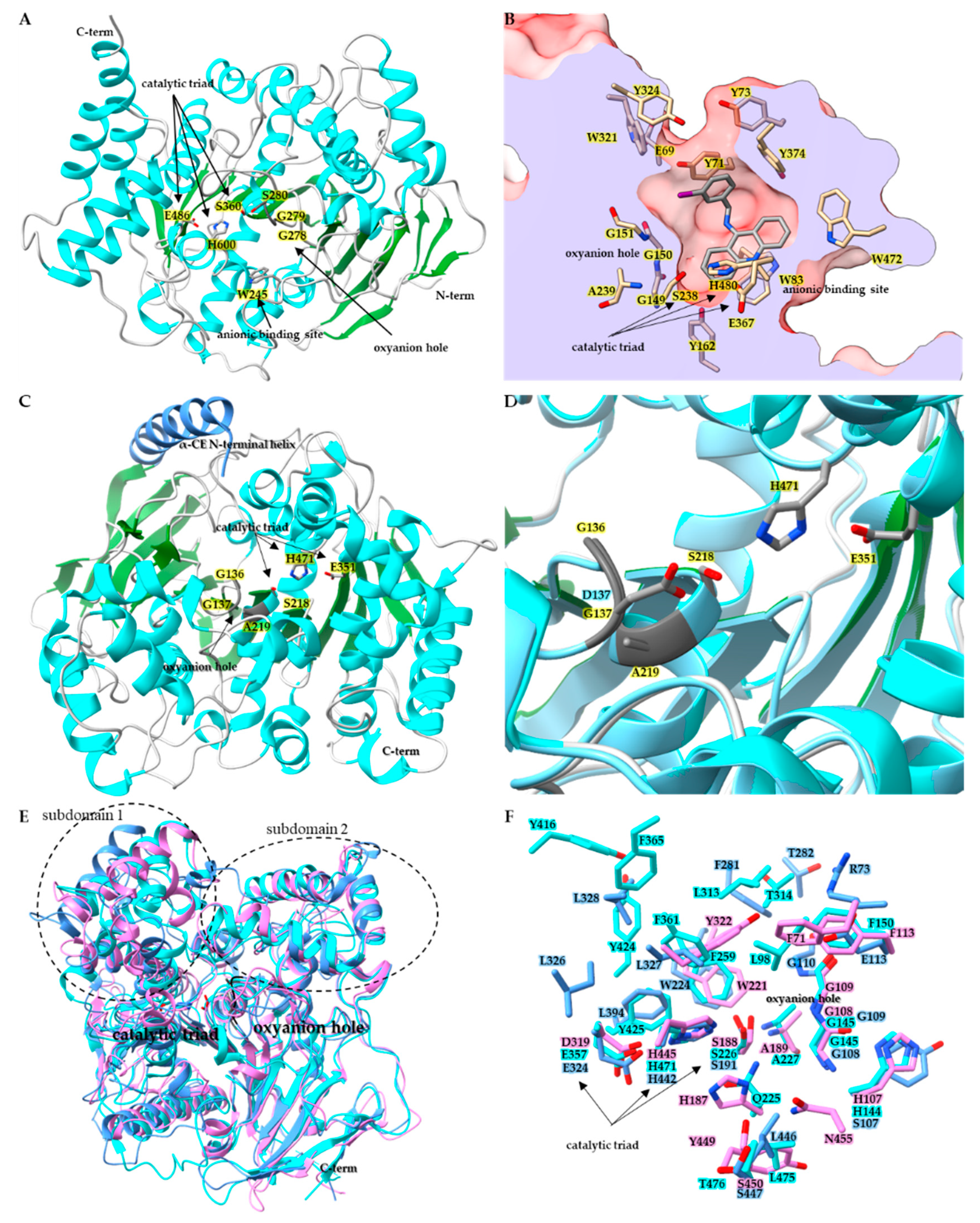 Insects Free Full-Text Dynamic Roles of Insect Carboxyl/Cholinesterases  in Chemical Adaptation