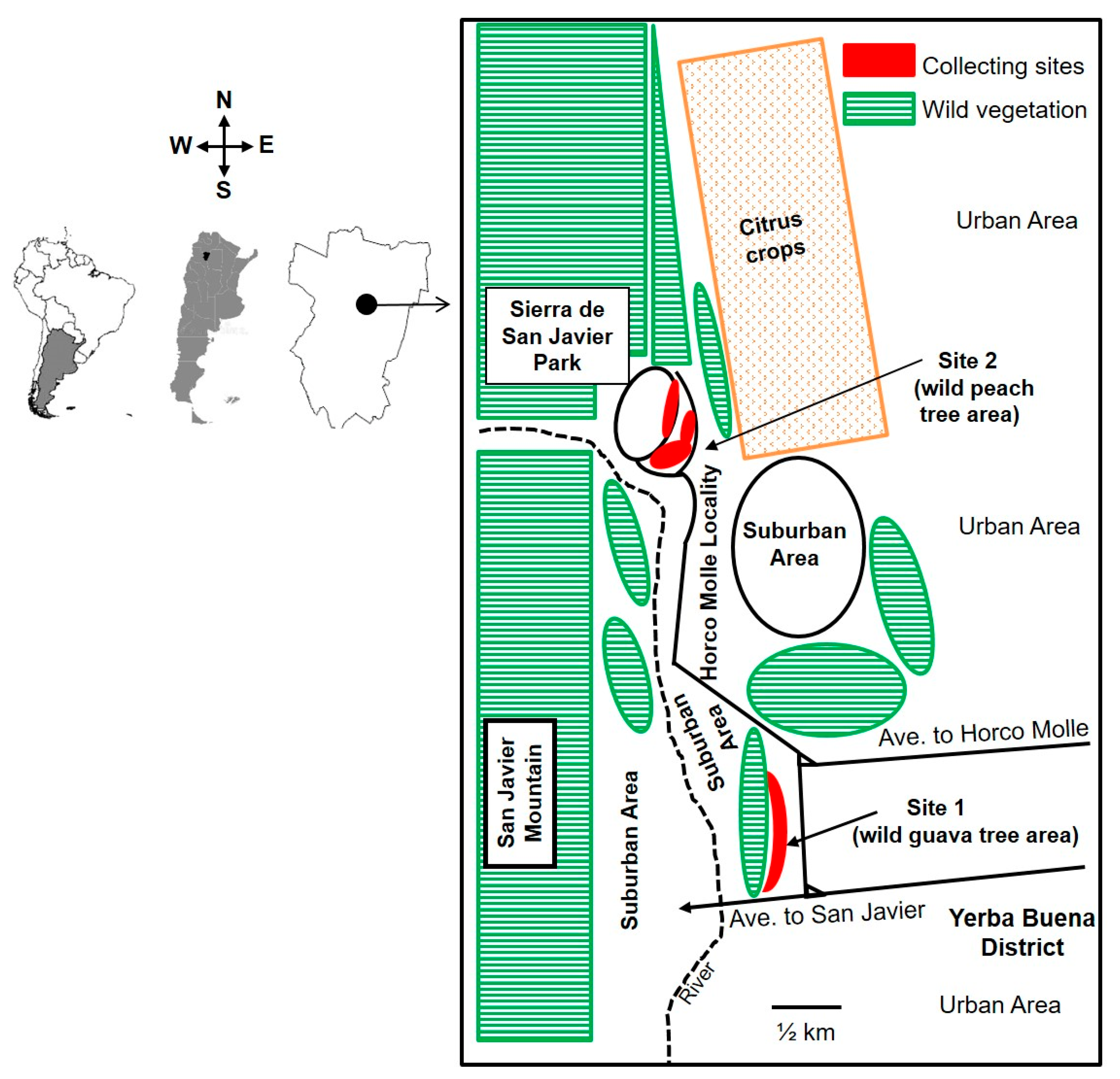 Insects | Free Full-Text | Implications of the Niche Partitioning and