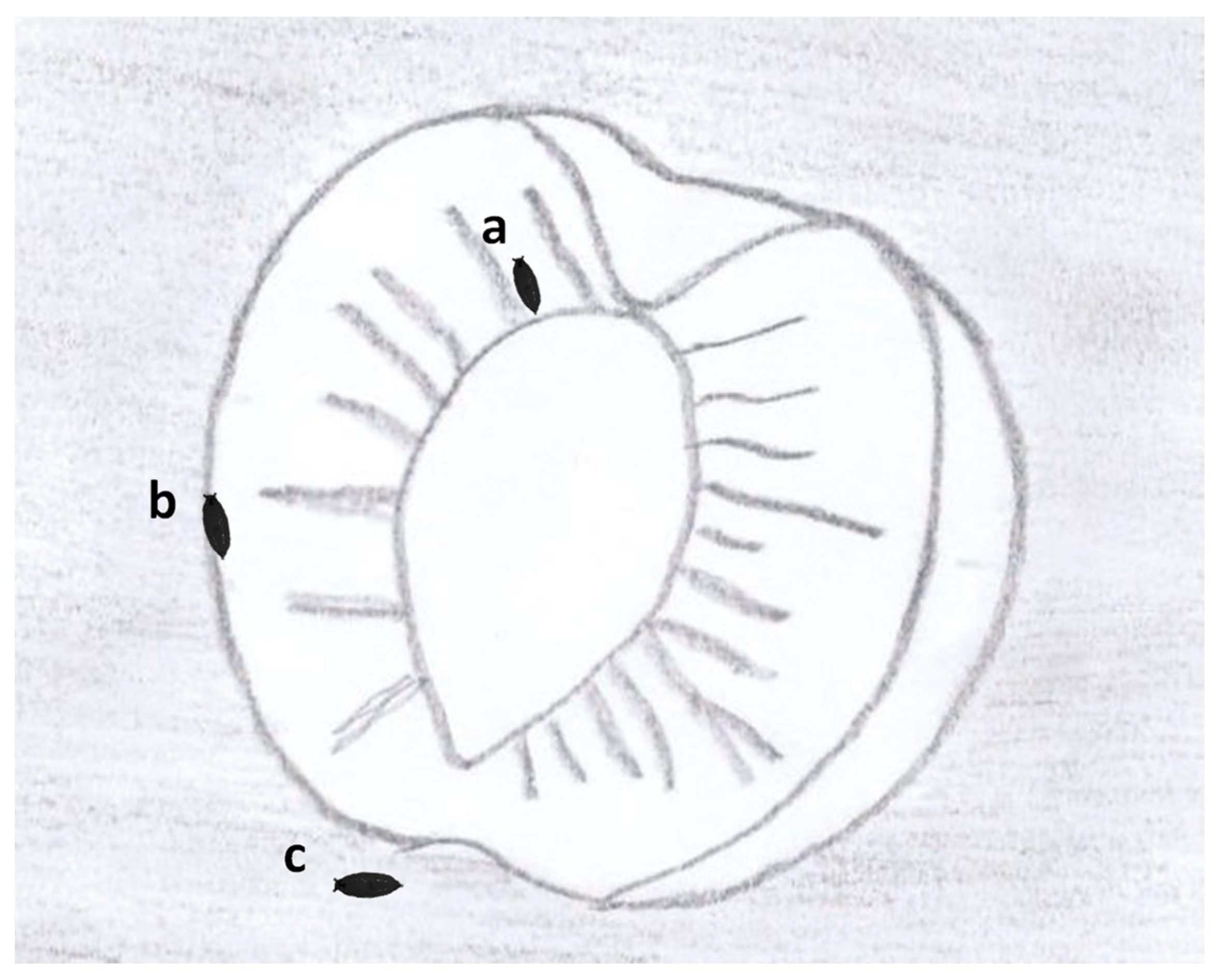 Insects | Free Full-Text | Implications of the Niche Partitioning and