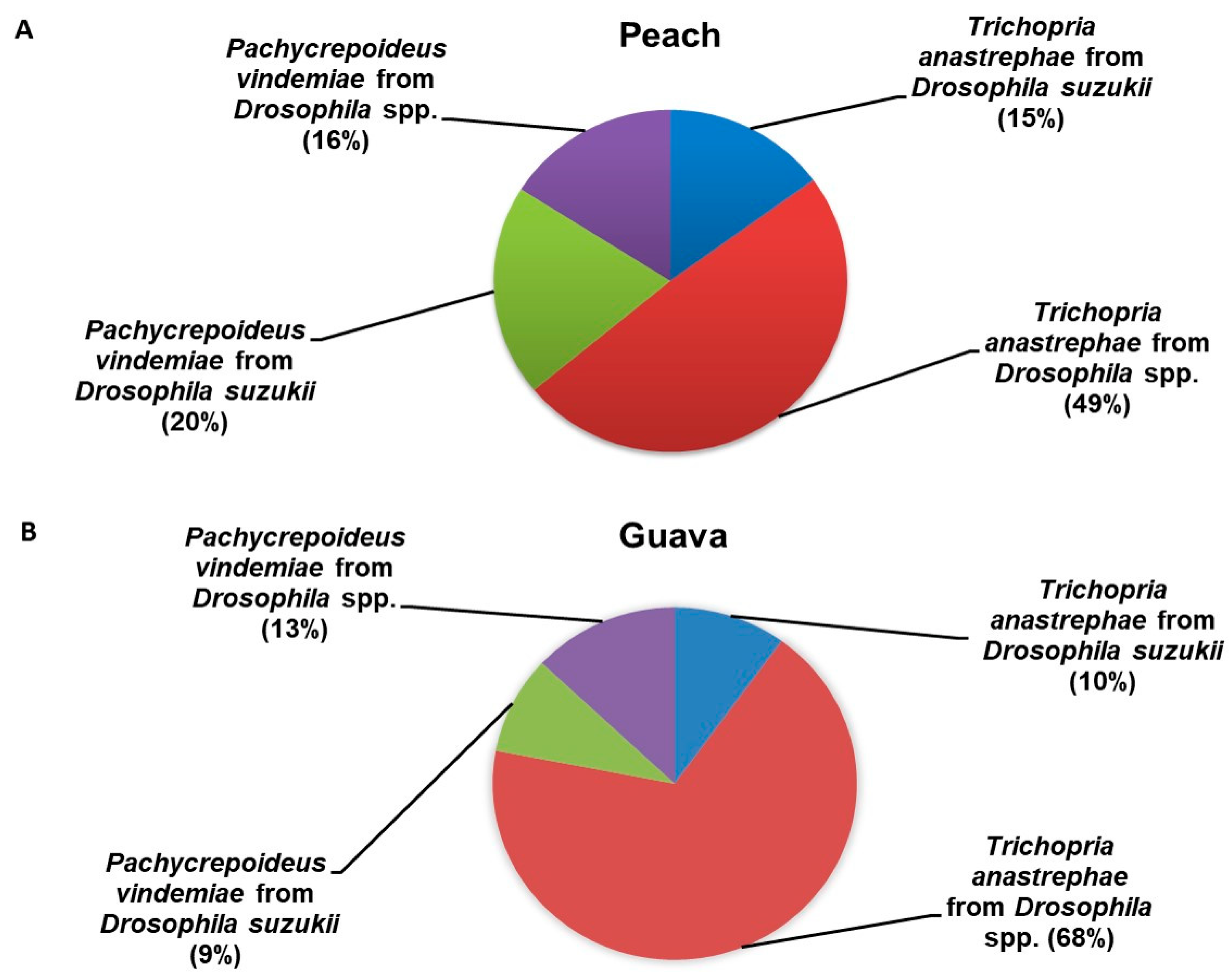 Insects | Free Full-Text | Implications of the Niche Partitioning and