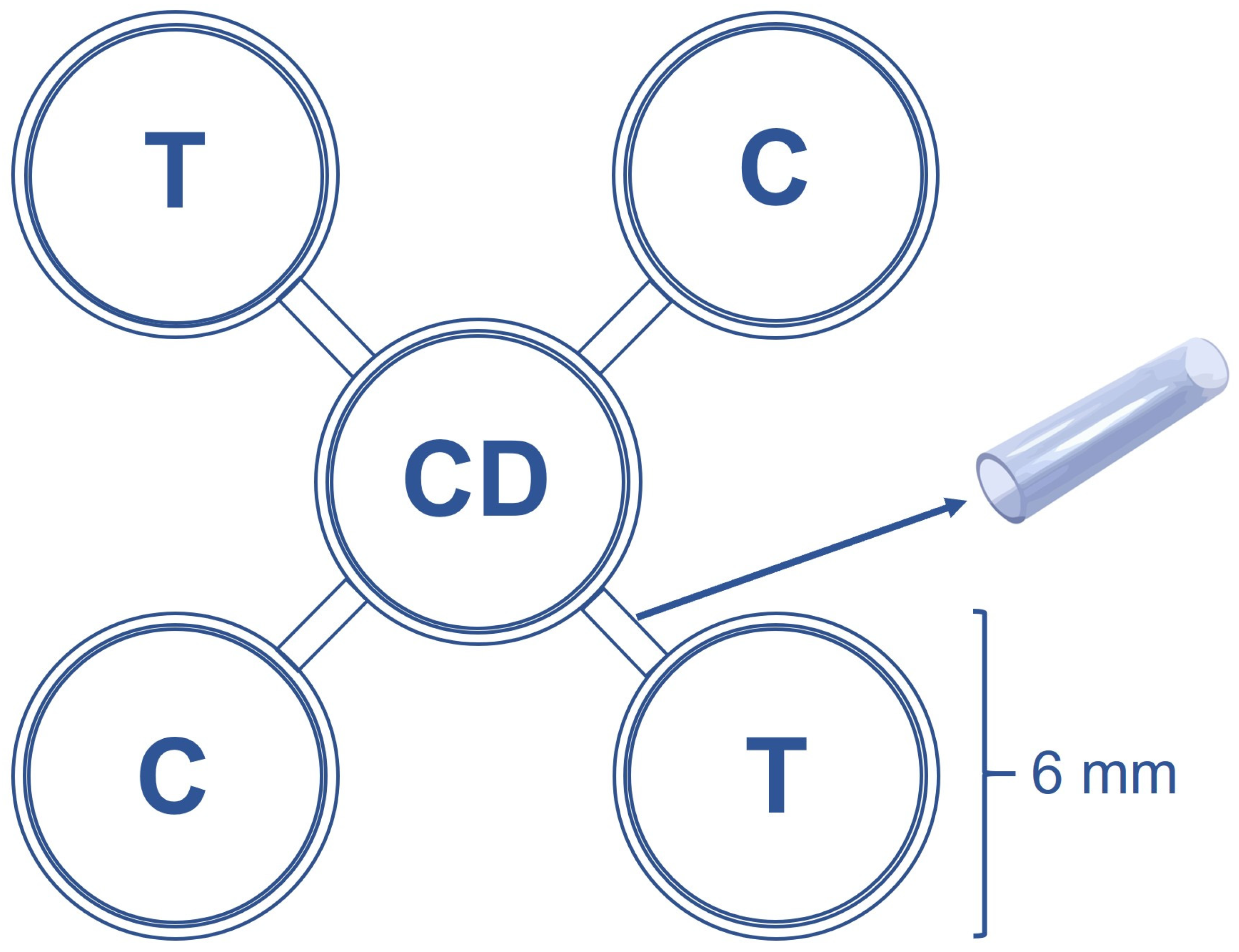 Azadirachtin-Mediated Responses in the Maize Weevil, Sitophilus zeamais ...