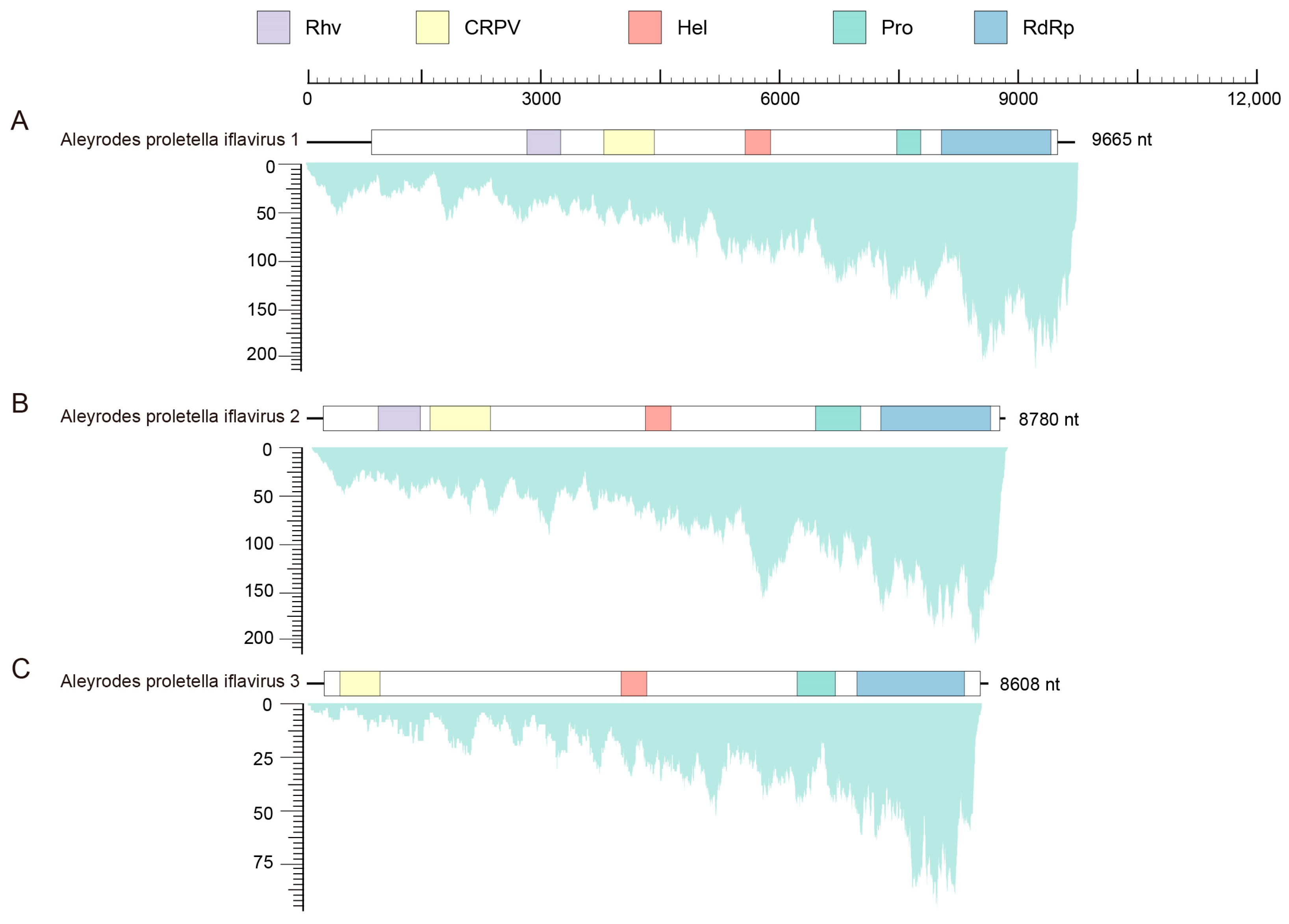 Identification and Characterization of Three Novel