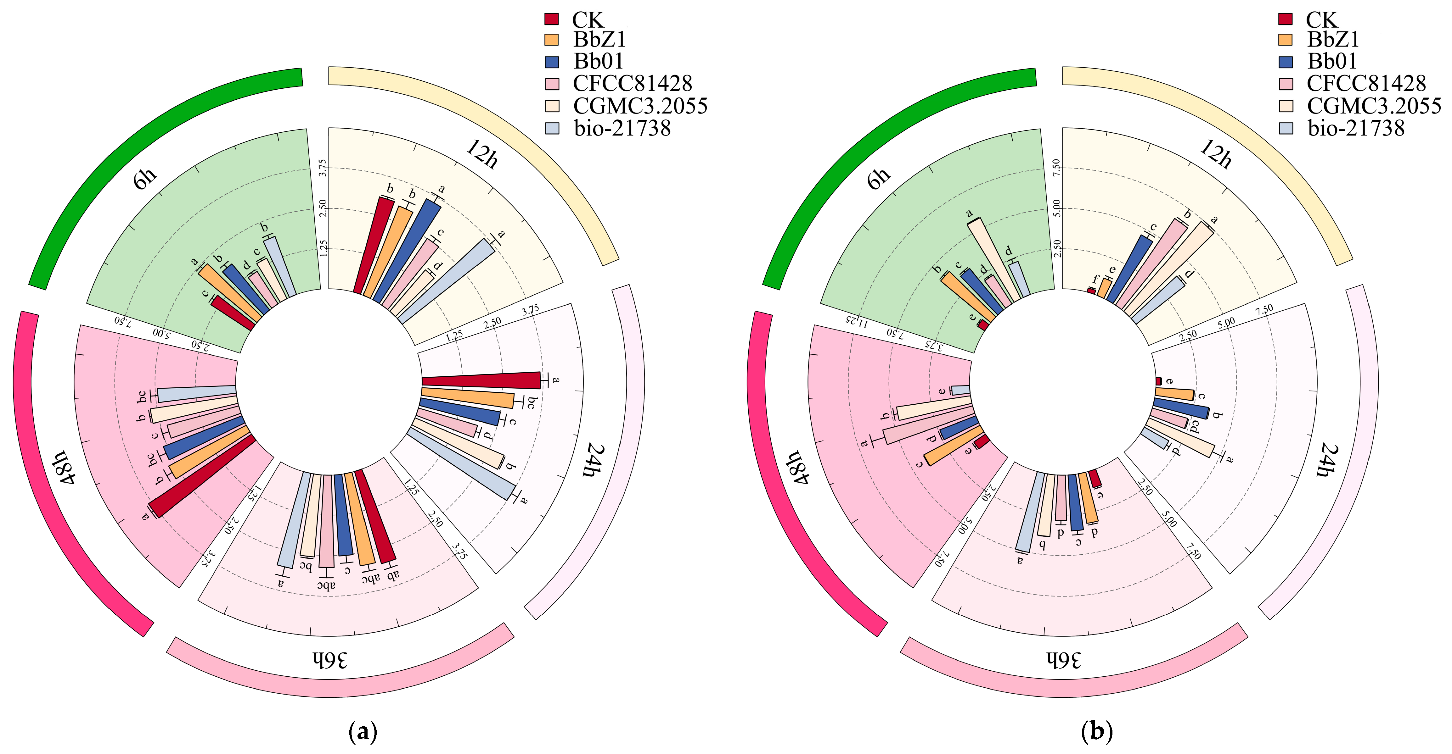 Exploration of the Effects of Different Beauveria bassiana