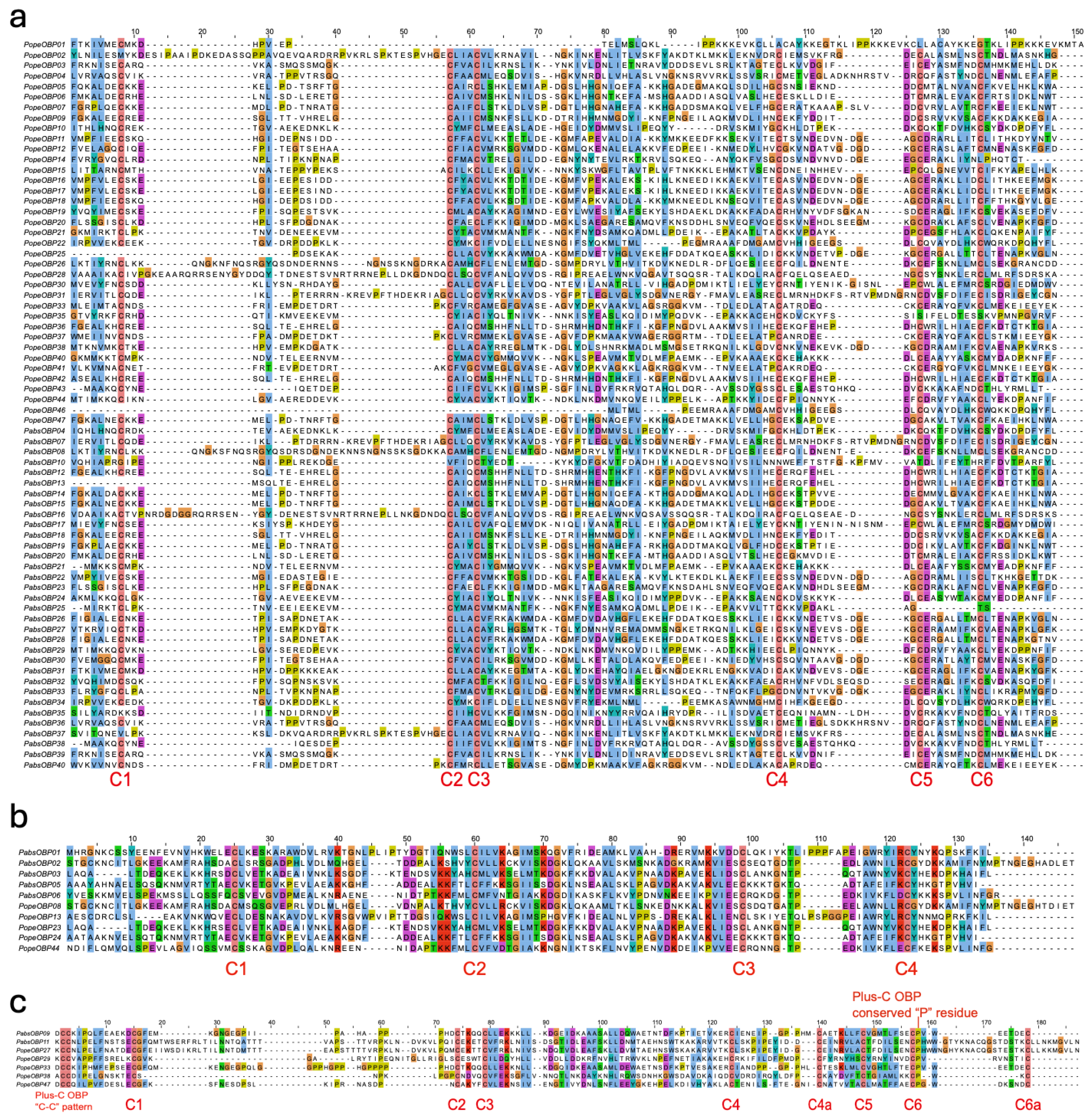 Genome-Wide Identification and Comparative Characterization of ...