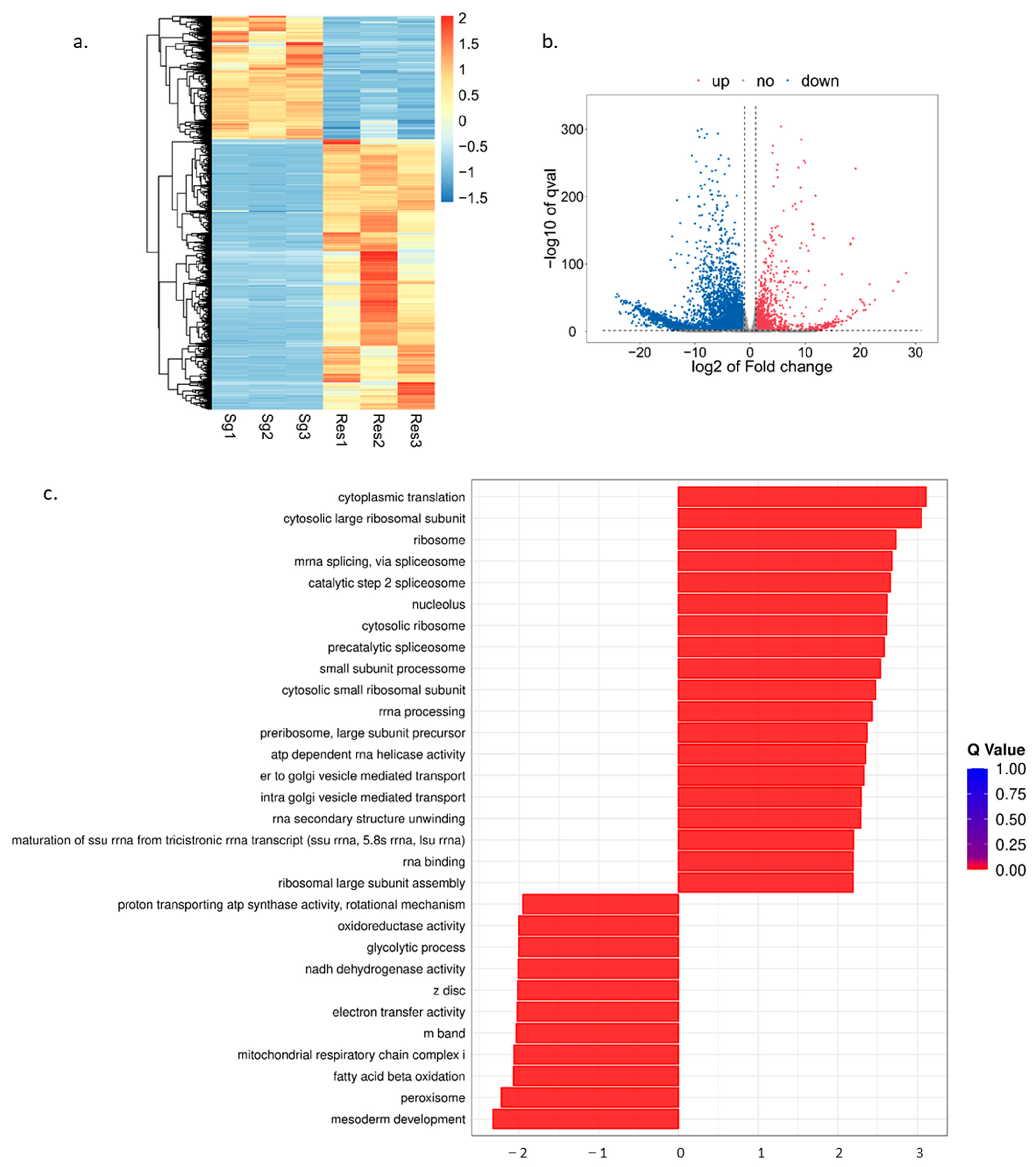 Identification of Oral Secretion Proteins in Ostrinia furnacalis by ...