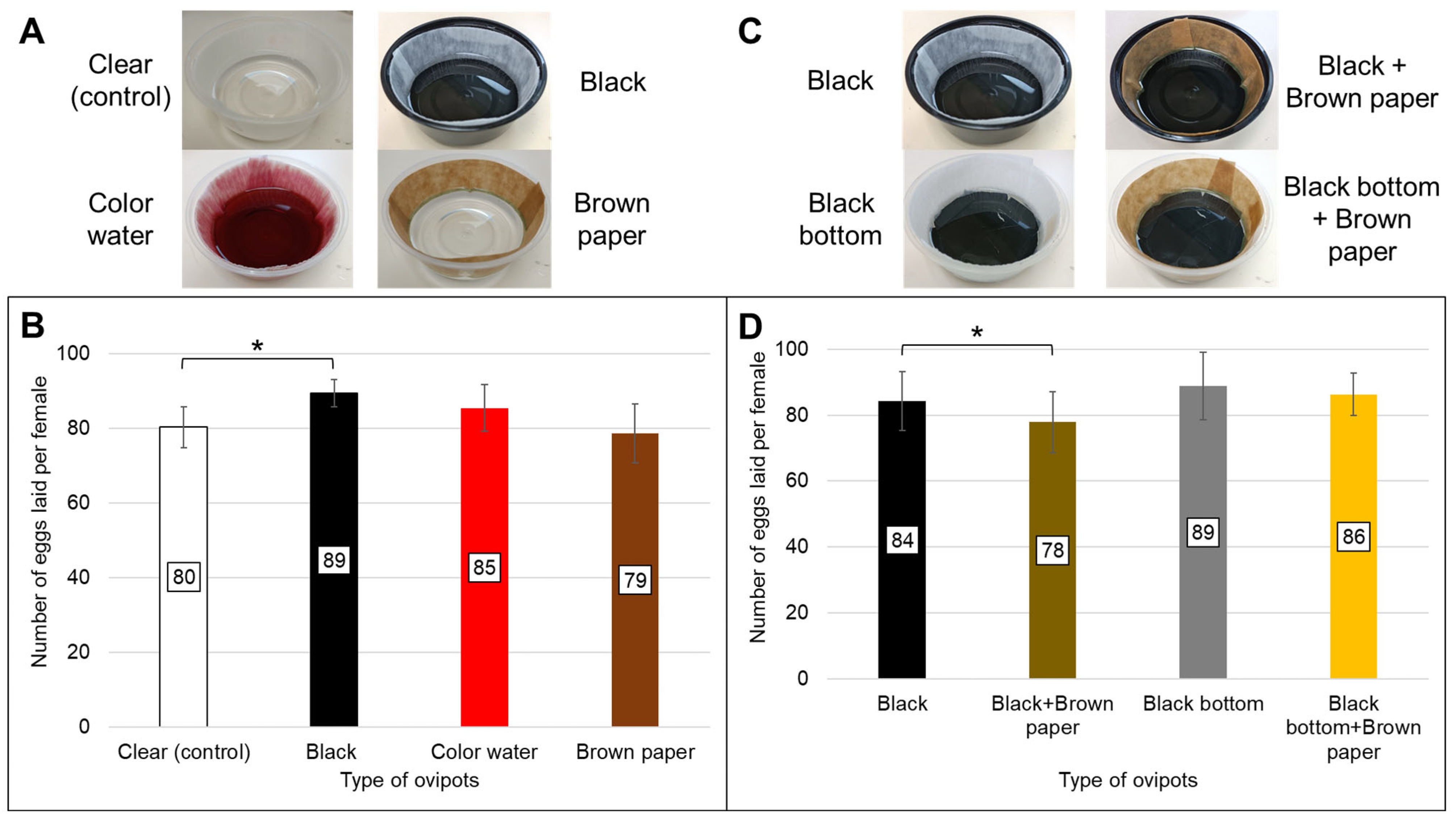 Black and White: Modified Black-Bottom Containers for Mass Egg ...
