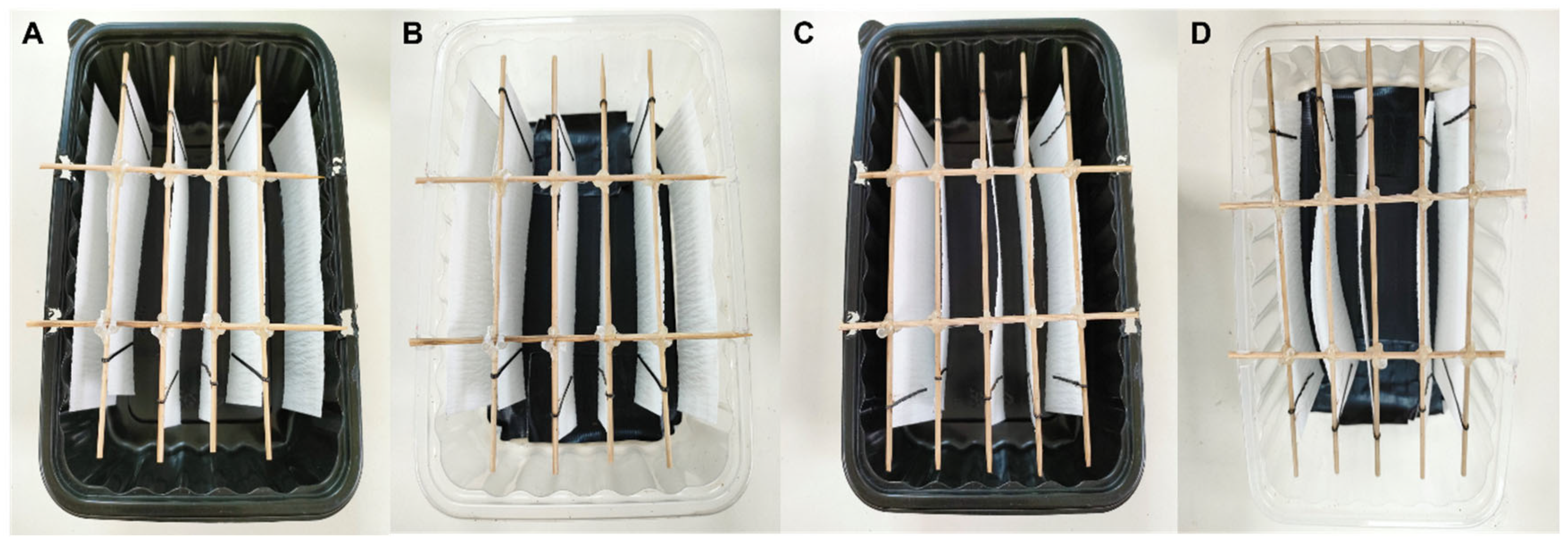 Black and White: Modified Black-Bottom Containers for Mass Egg ...
