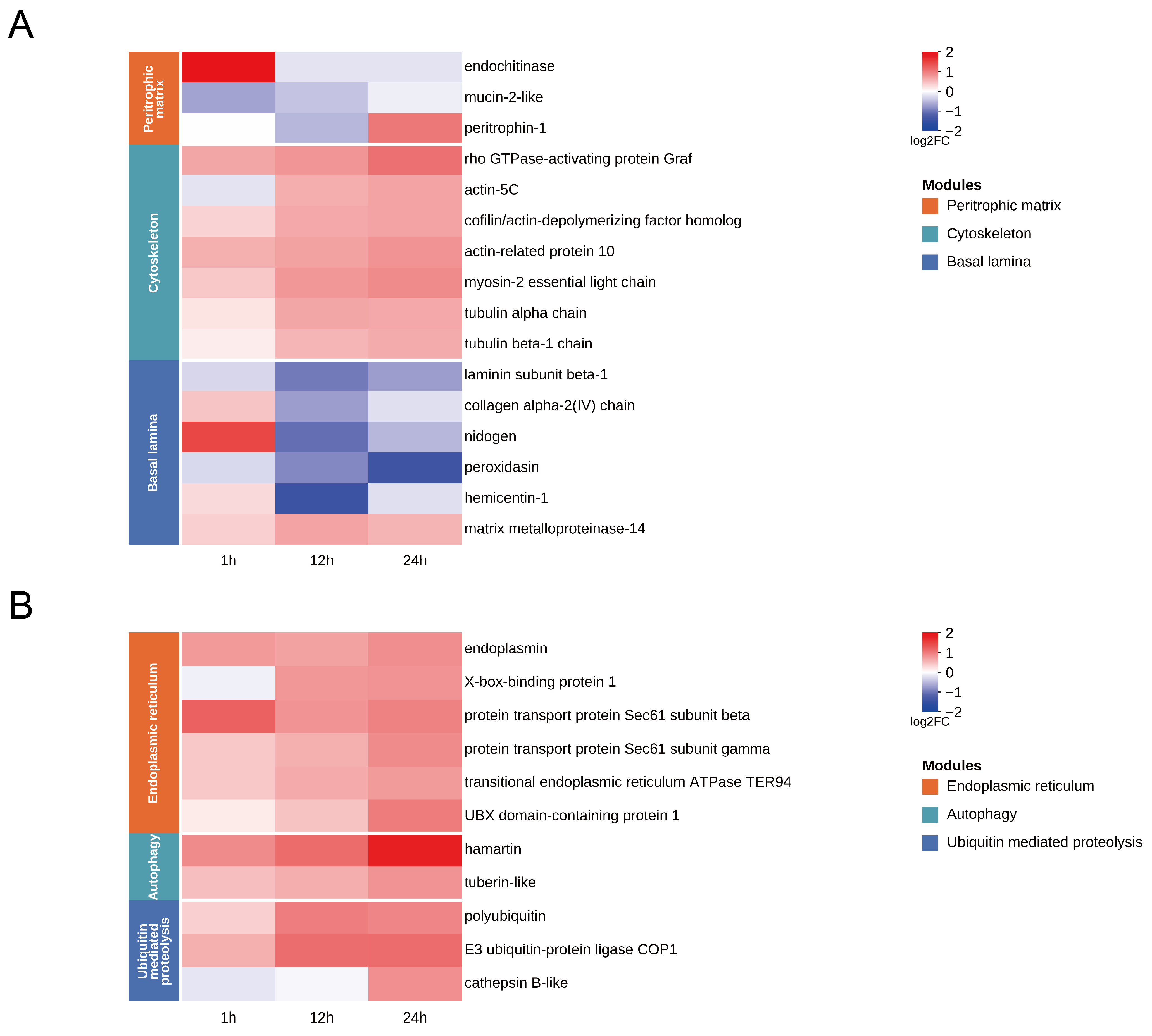 Time-Course Transcriptomic Analysis of Early Host Responses to Oral ...