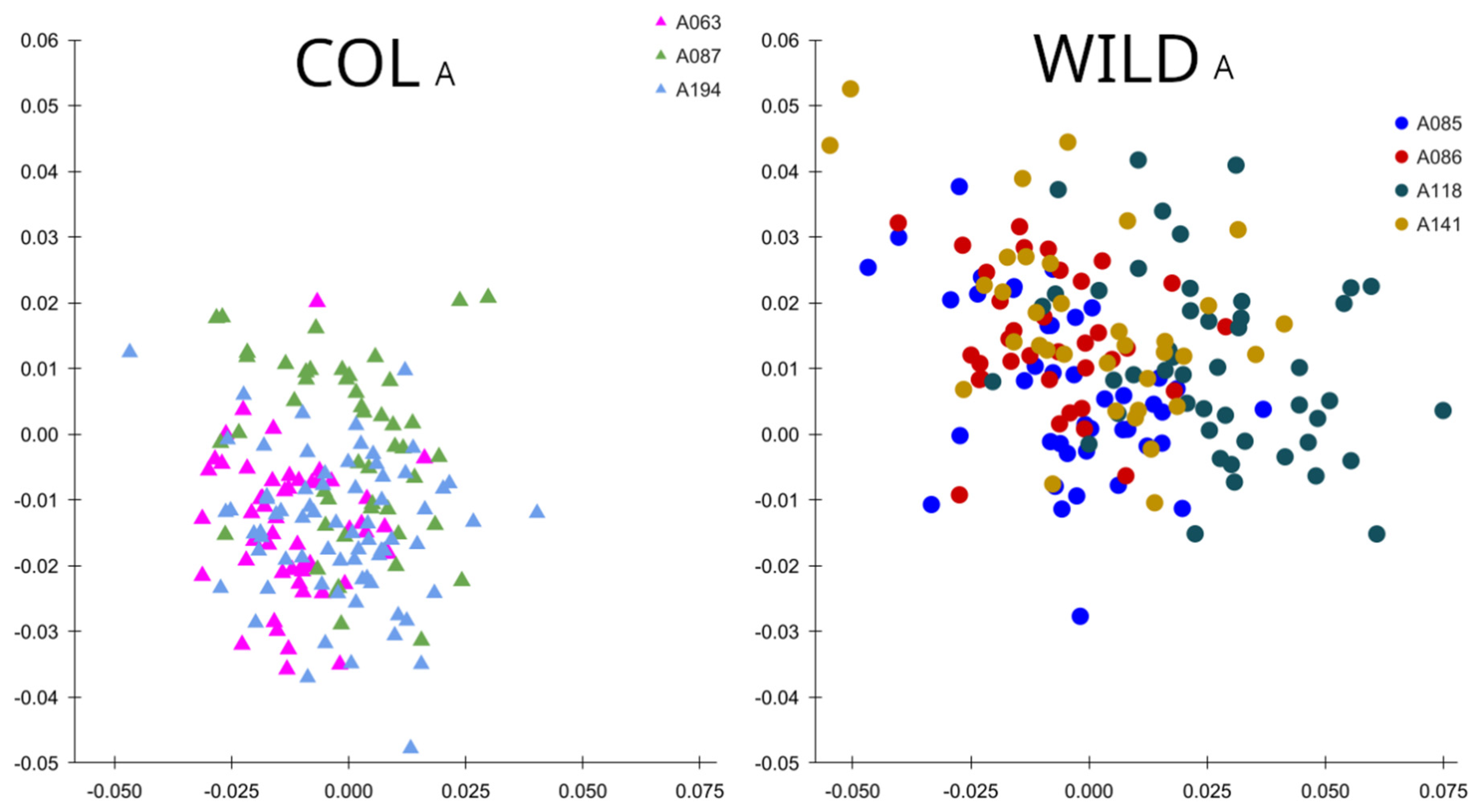 Morphological Diversity as a Proxy for Assessing Genetic Diversity of ...