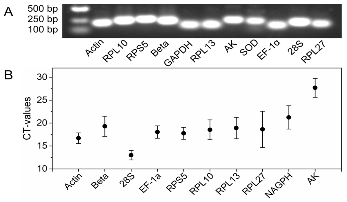 Reference Genes for Expression Analyses by RT-qPCR in Hyblaea puera ...