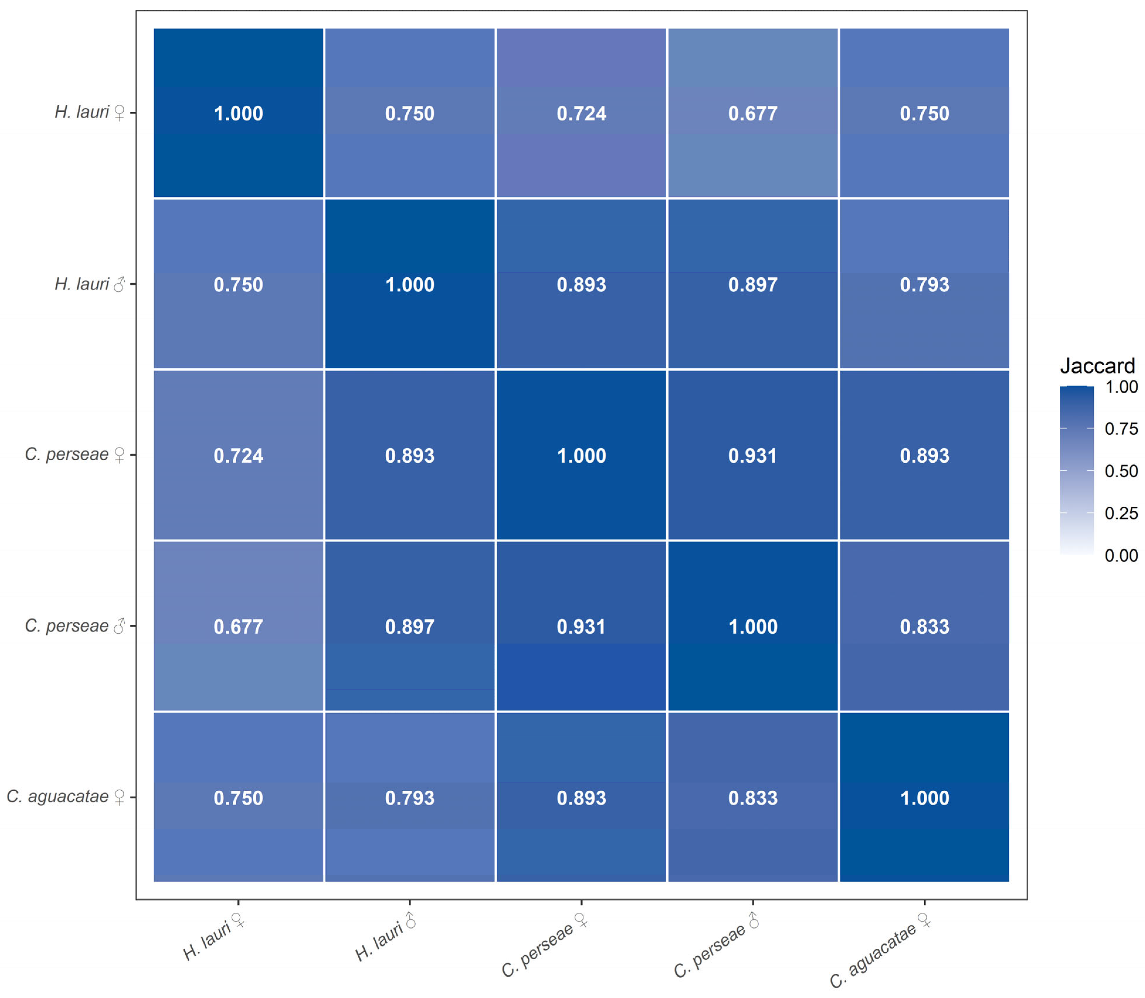 Shortest Insect Characterization of Conserved MicroRNAs in Avocado Seed Weevils ...