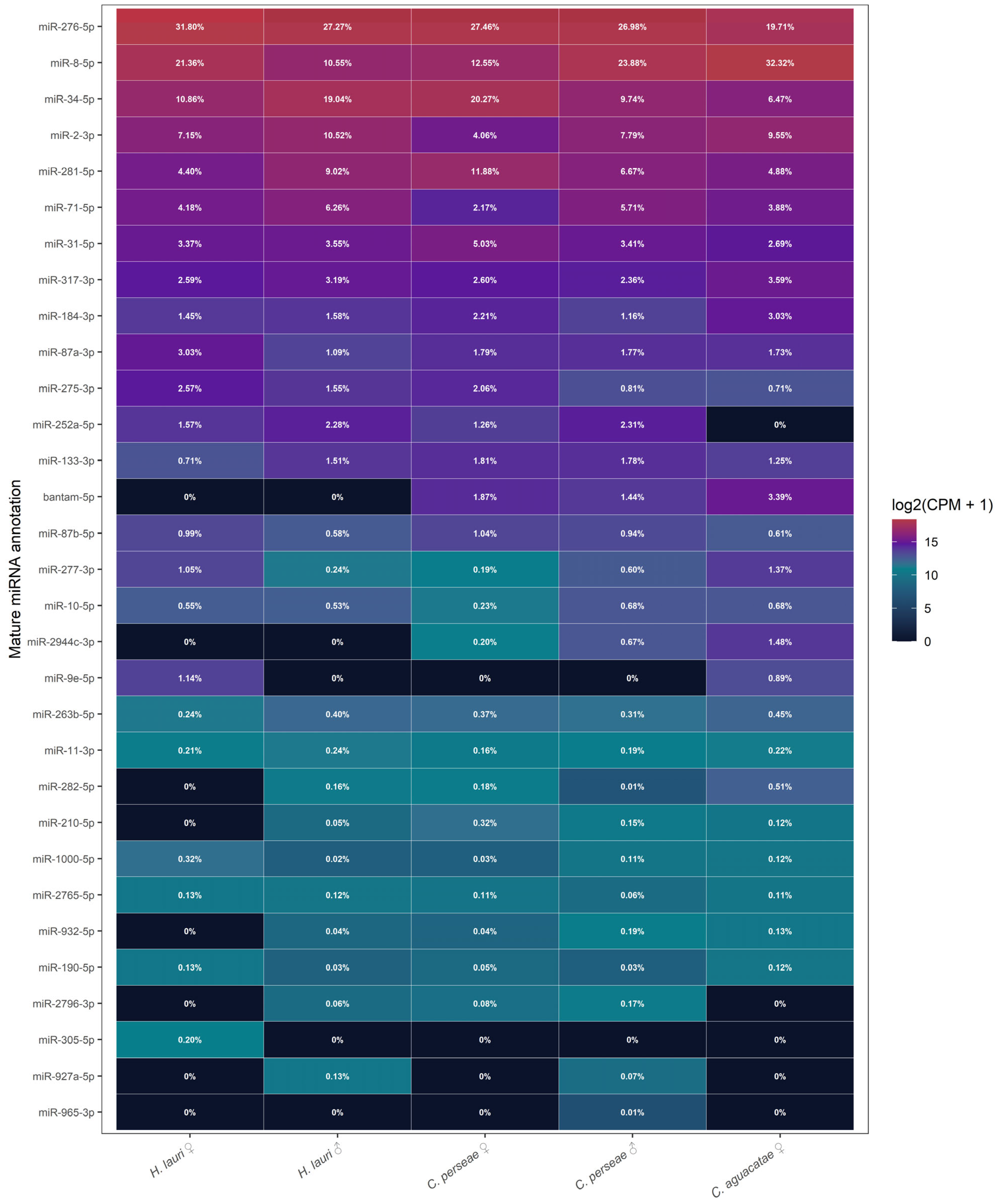 Shortest Insect Characterization of Conserved MicroRNAs in Avocado Seed Weevils ...