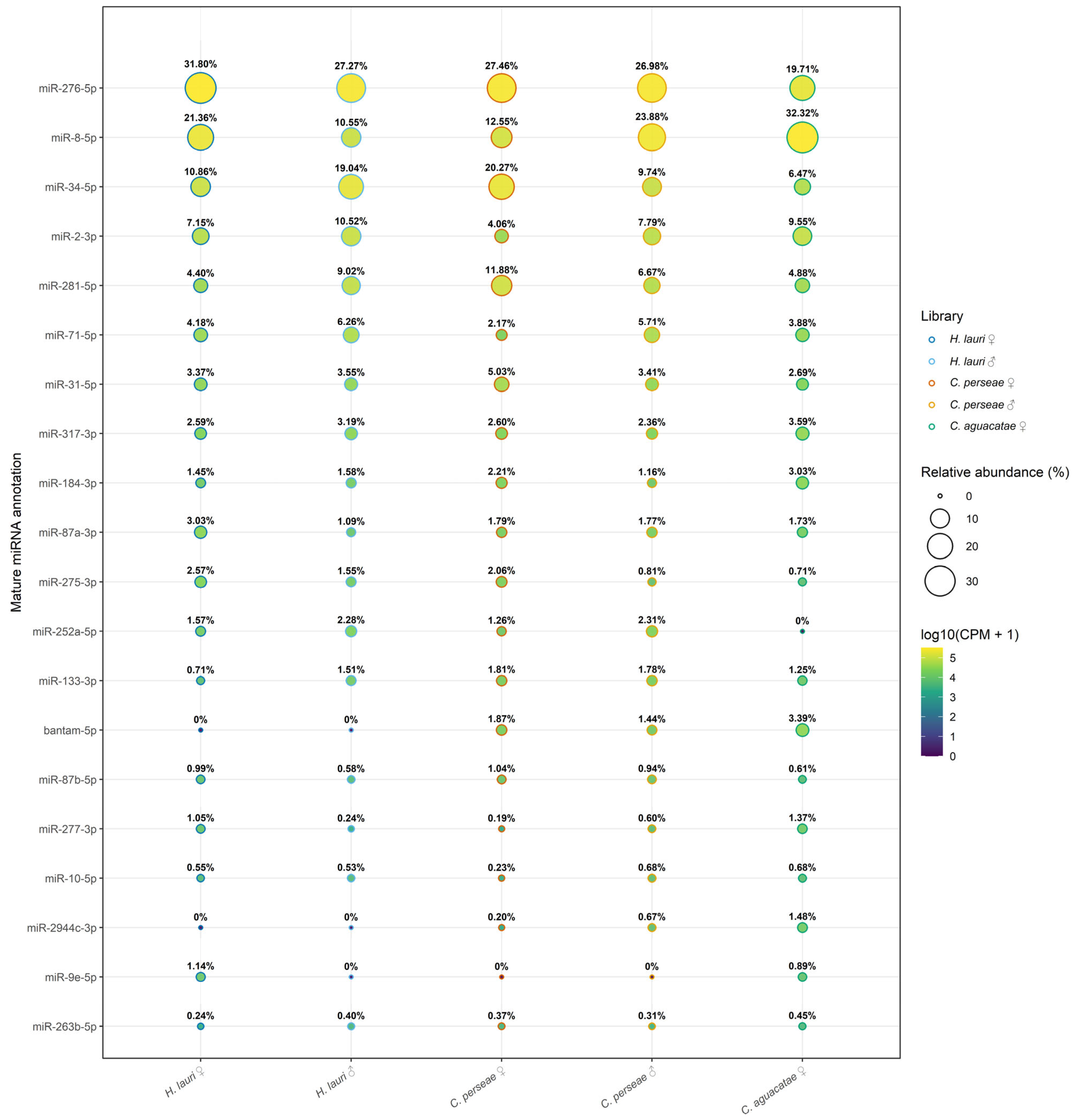 Shortest Insect Characterization of Conserved MicroRNAs in Avocado Seed Weevils ...