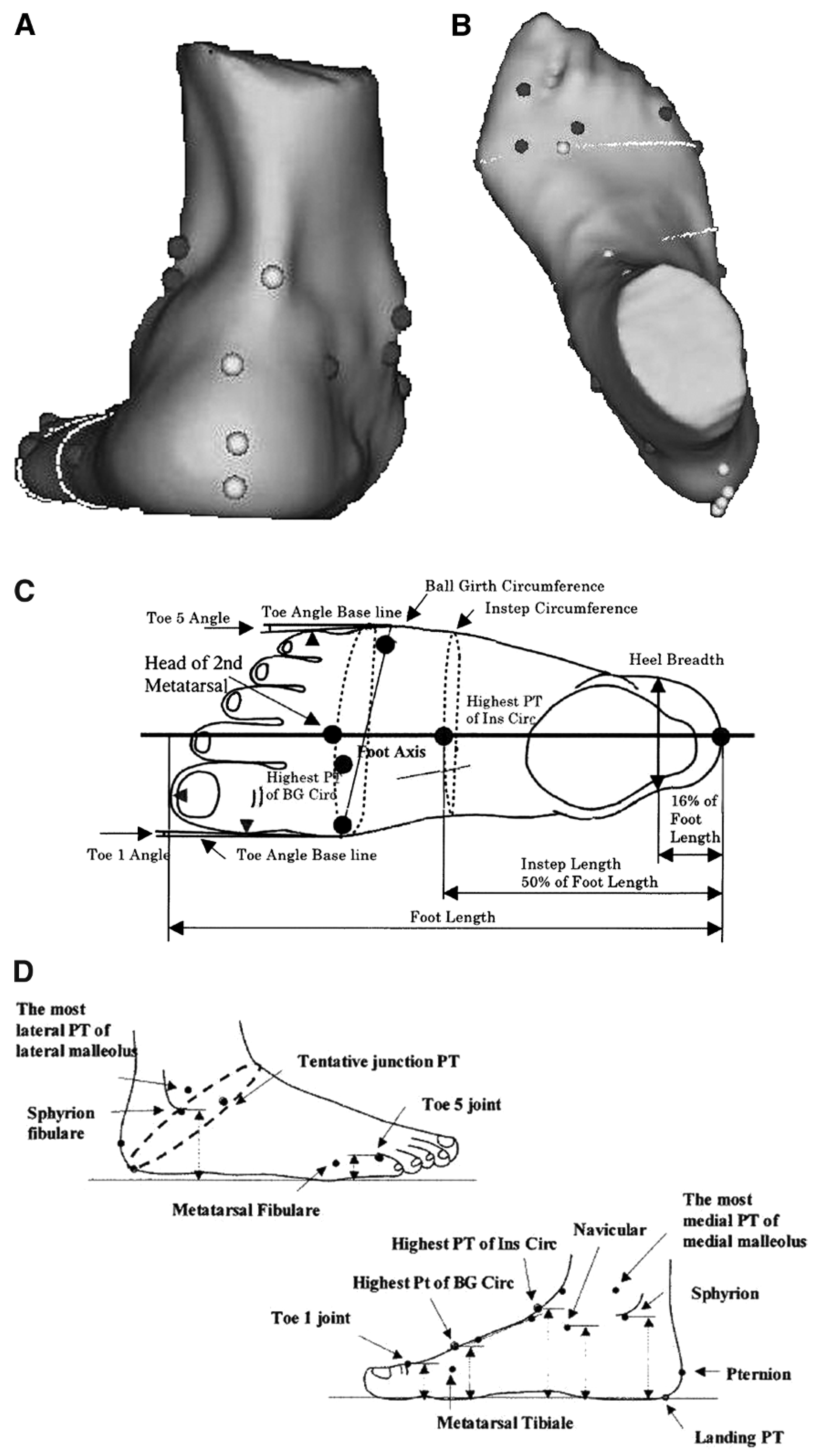 Ref Toe System Reliability and Validity of the INFOOT Three-Dimensional Foot Digitizer ...