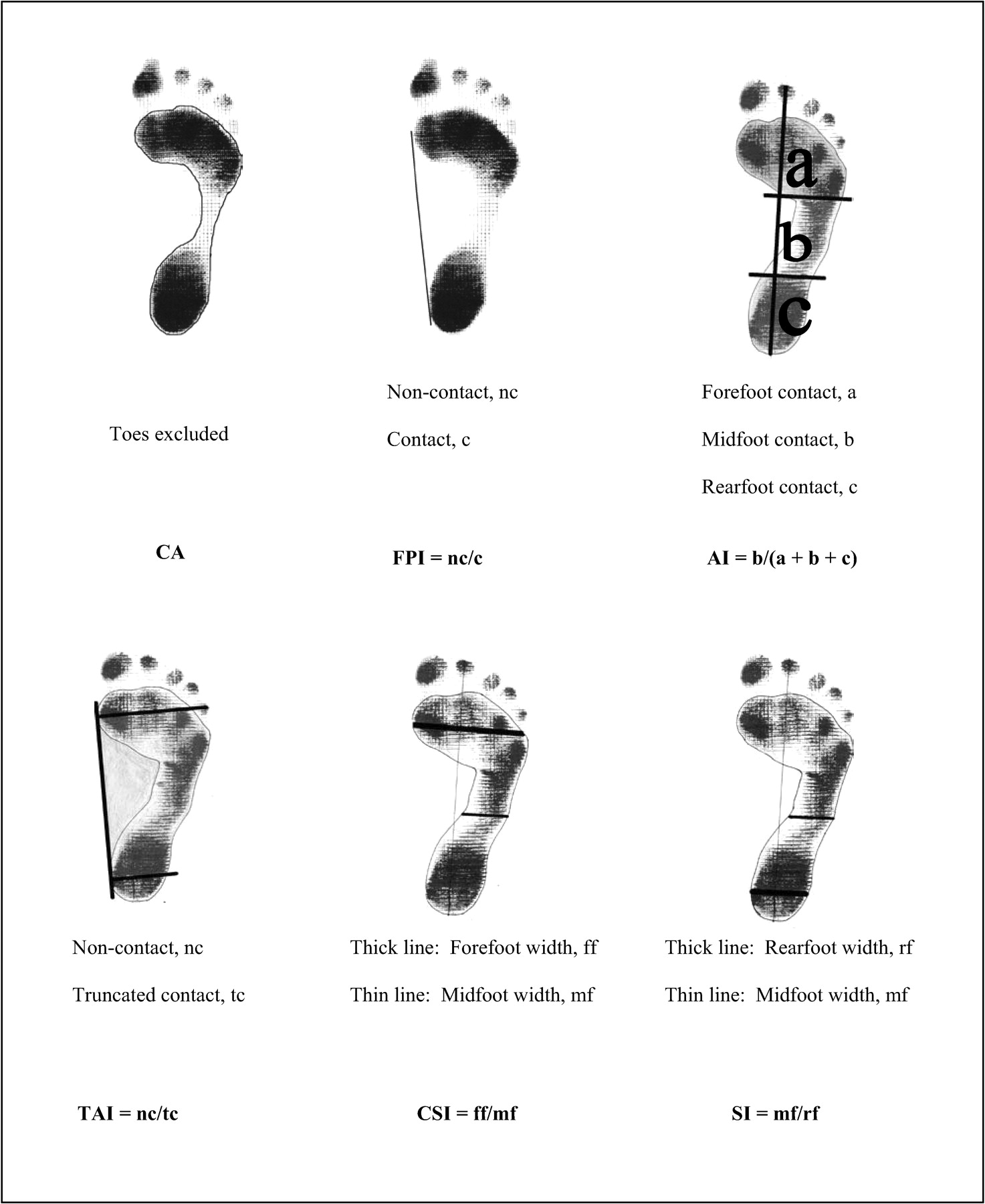 Dynamic Footprint Measurement Collection Technique and Intrarater ...