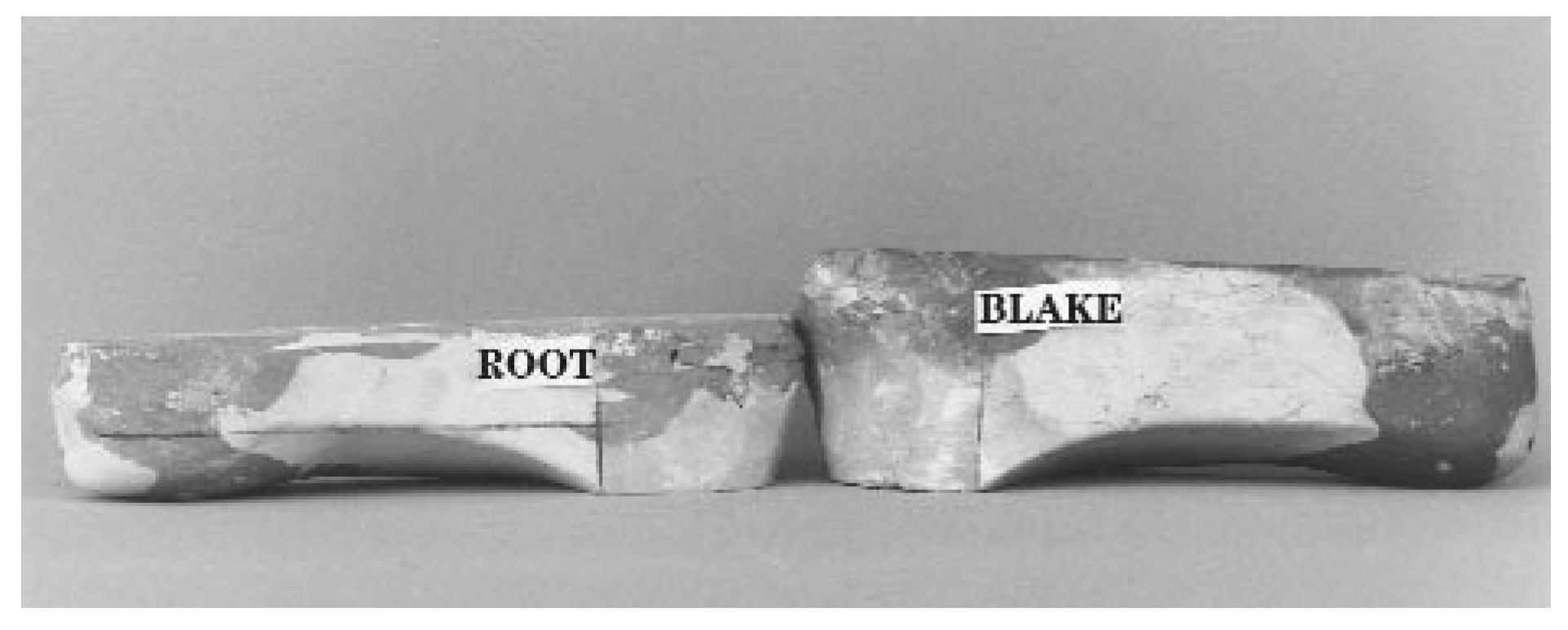 Changes in Foot Function with the Use of Root and Blake Orthoses