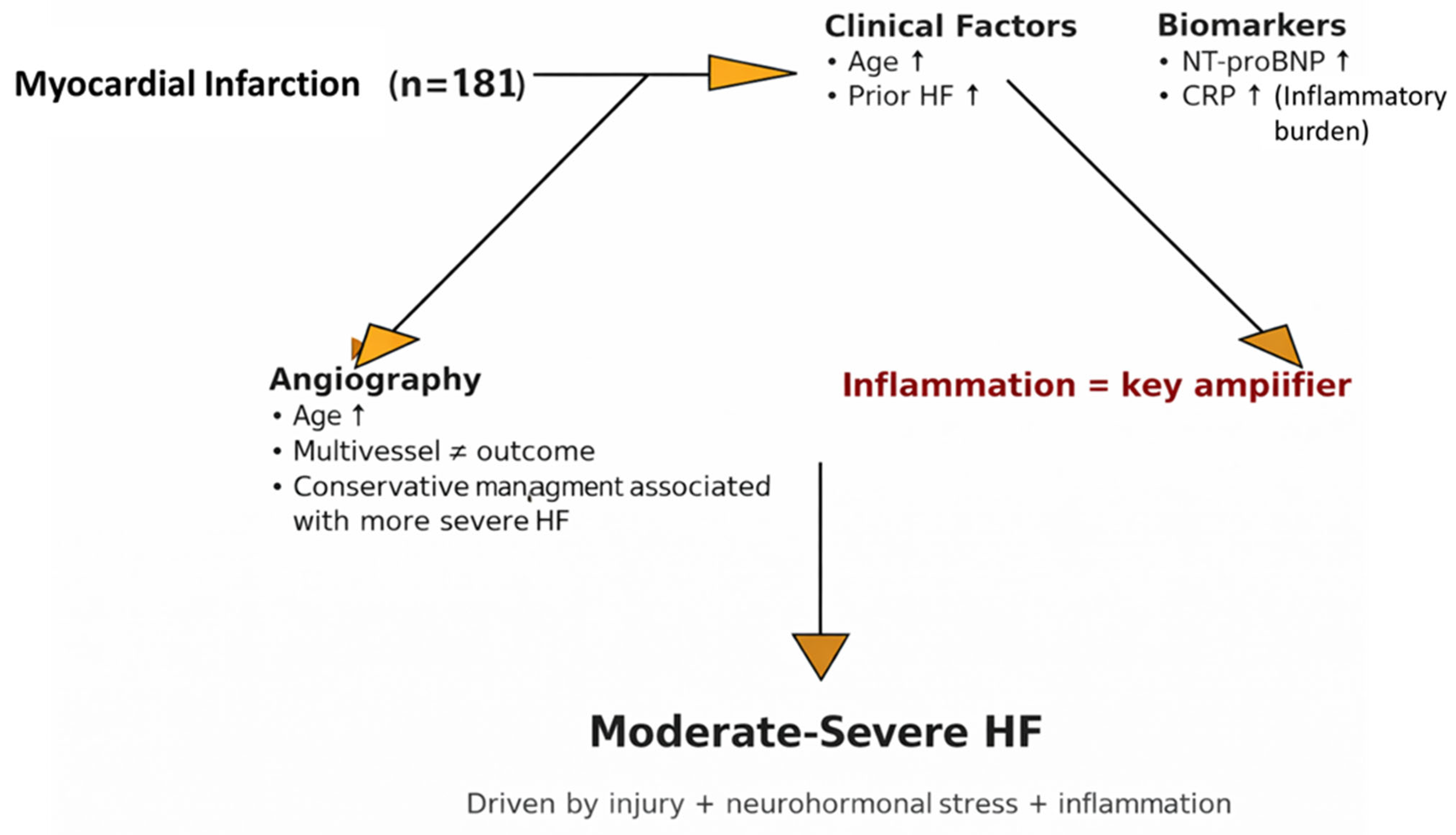 Clinical and Inflammatory Determinants of Heart Failure Severity ...