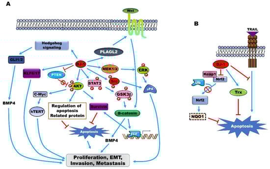 ああ A label-free and ratiometric fluorescent immunosensor by