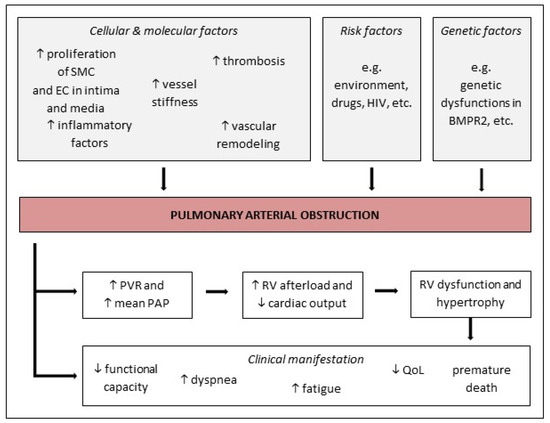 https://pub.mdpi-res.com/jcm/jcm-09-01689/article_deploy/html/images/jcm-09-01689-g001-550.jpg?1594116543