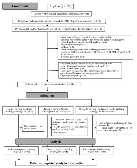 JCM | Free Full-Text | Effects of Physical Rehabilitation on ...