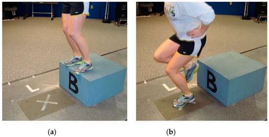 Devices to measure calf raise test outcomes: A narrative review - Fernandez  - 2023 - Physiotherapy Research International - Wiley Online Library