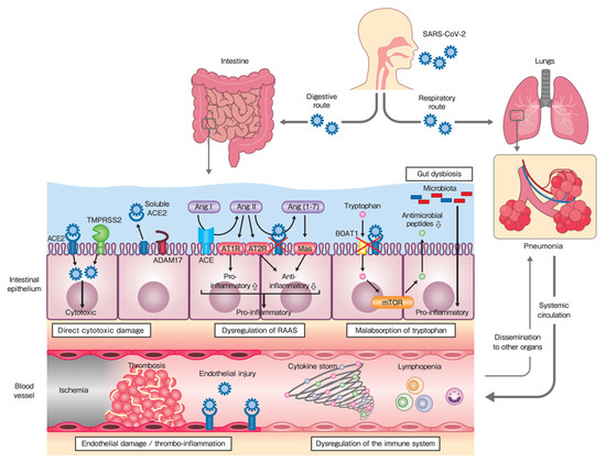 JCM | Free Full-Text | Clinical Features and Pathogenic Mechanisms